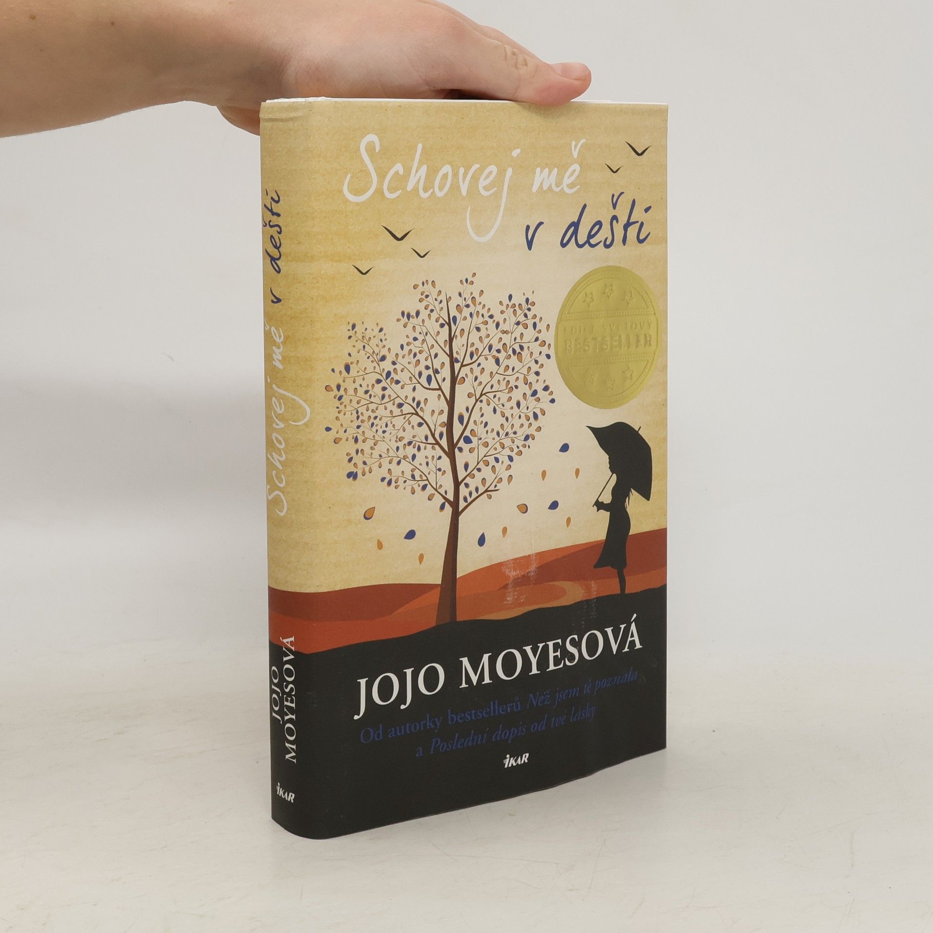 Jojo Moyes Schovej mě v dešti