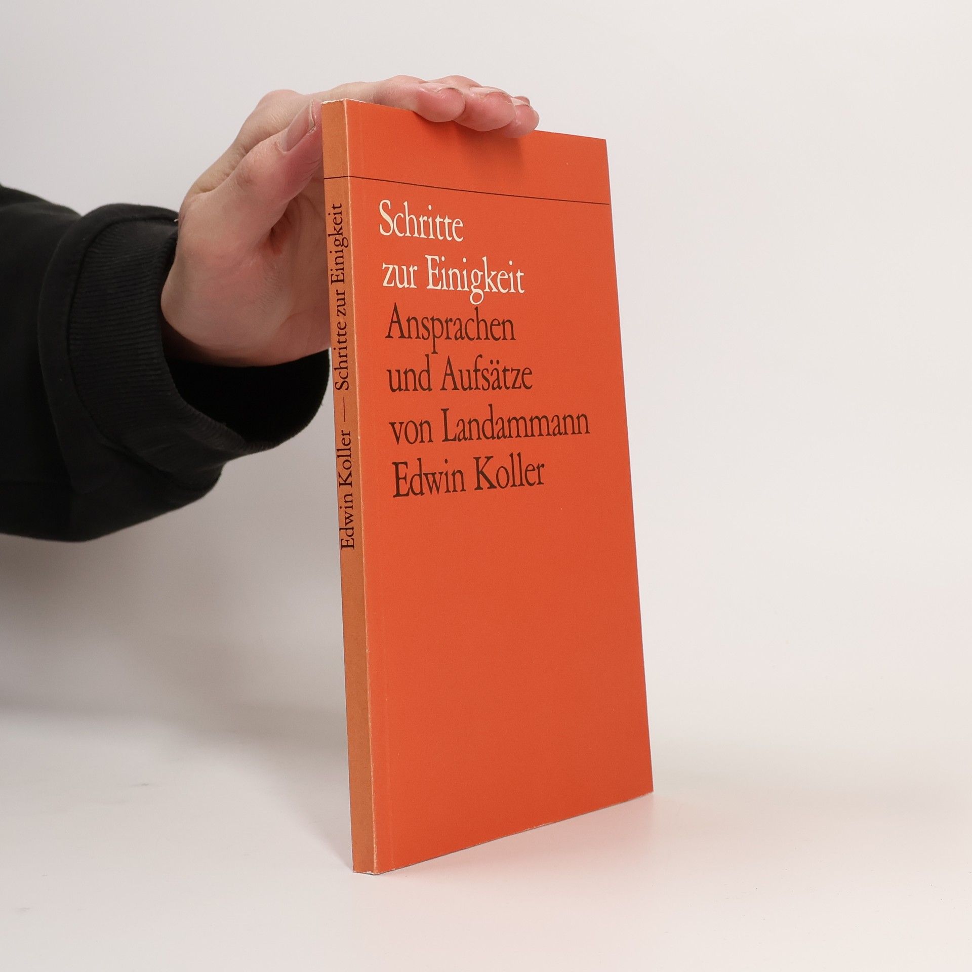 Edwin Koller Schritte zur Einigkeit