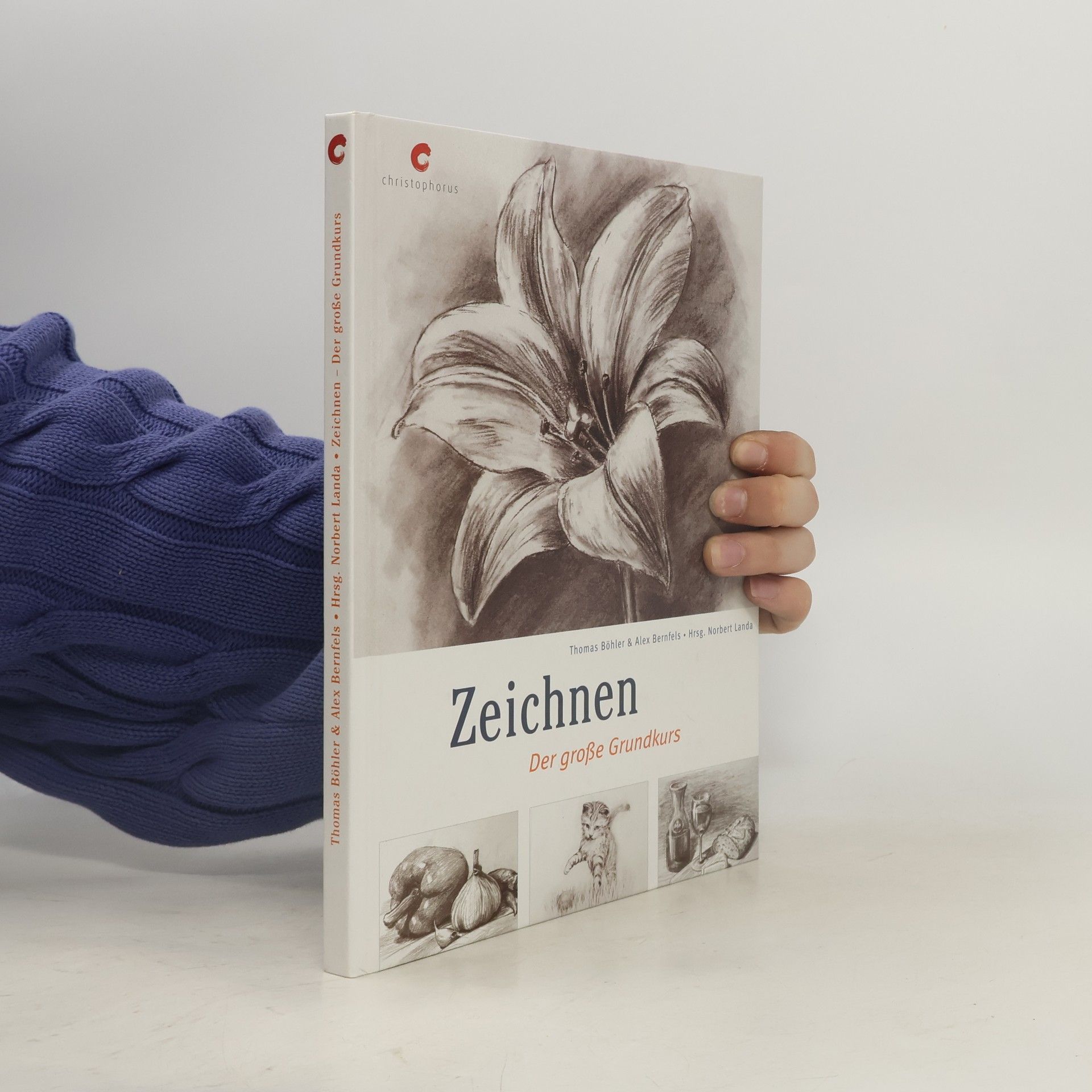 Thomas Böhler Zeichnen - der große Grundkurs