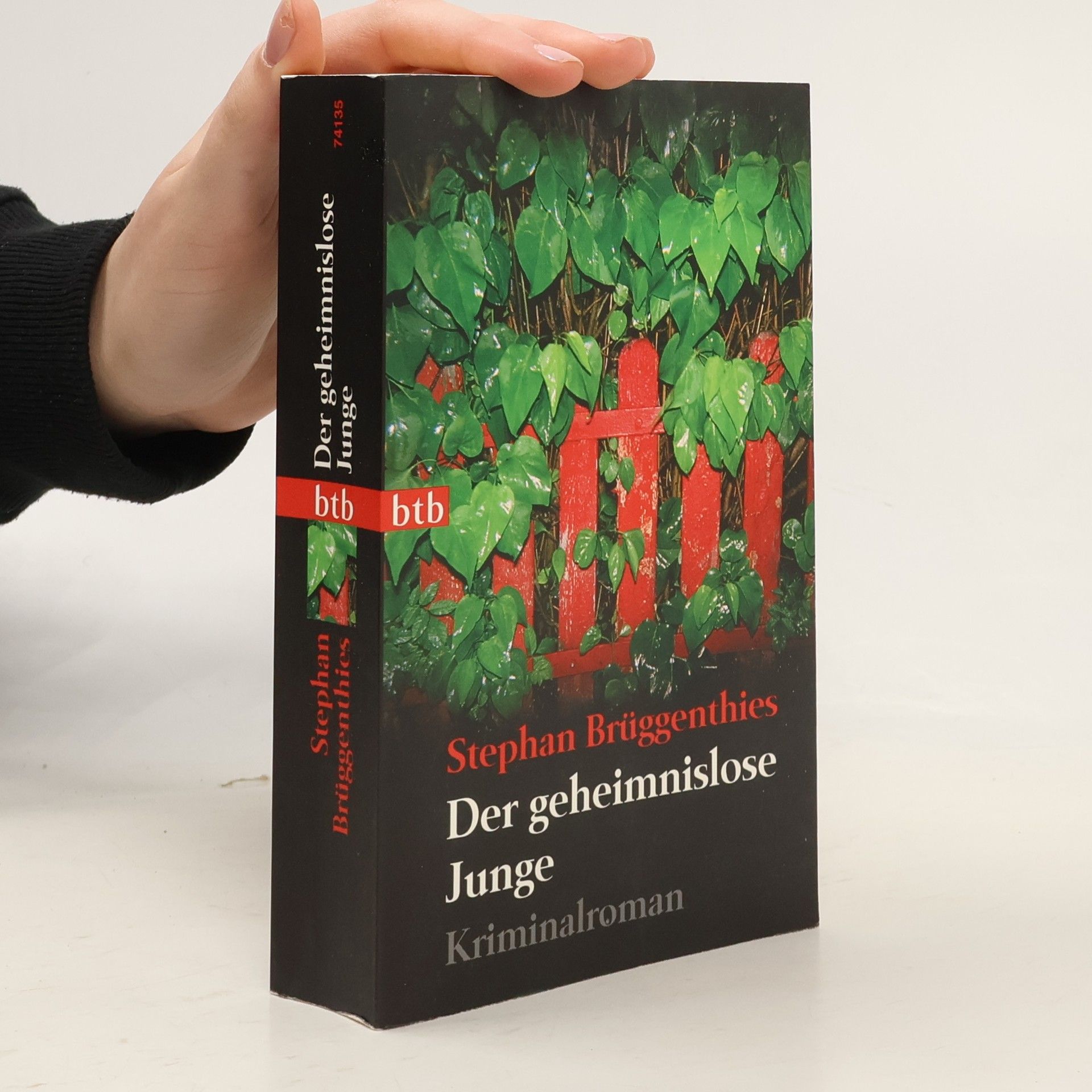 Stephan Brüggenthies Der geheimnislose Junge