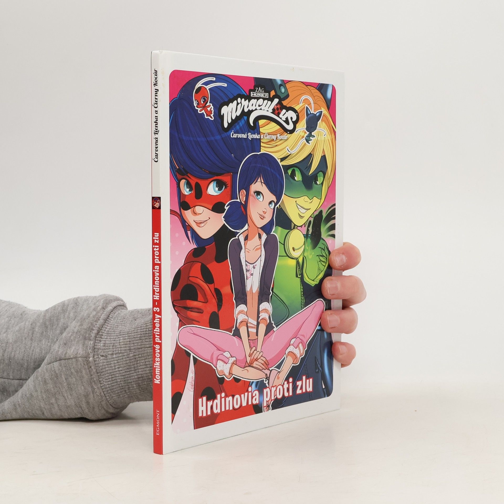 Collectif d'auteurs Hrdinovia proti zlu