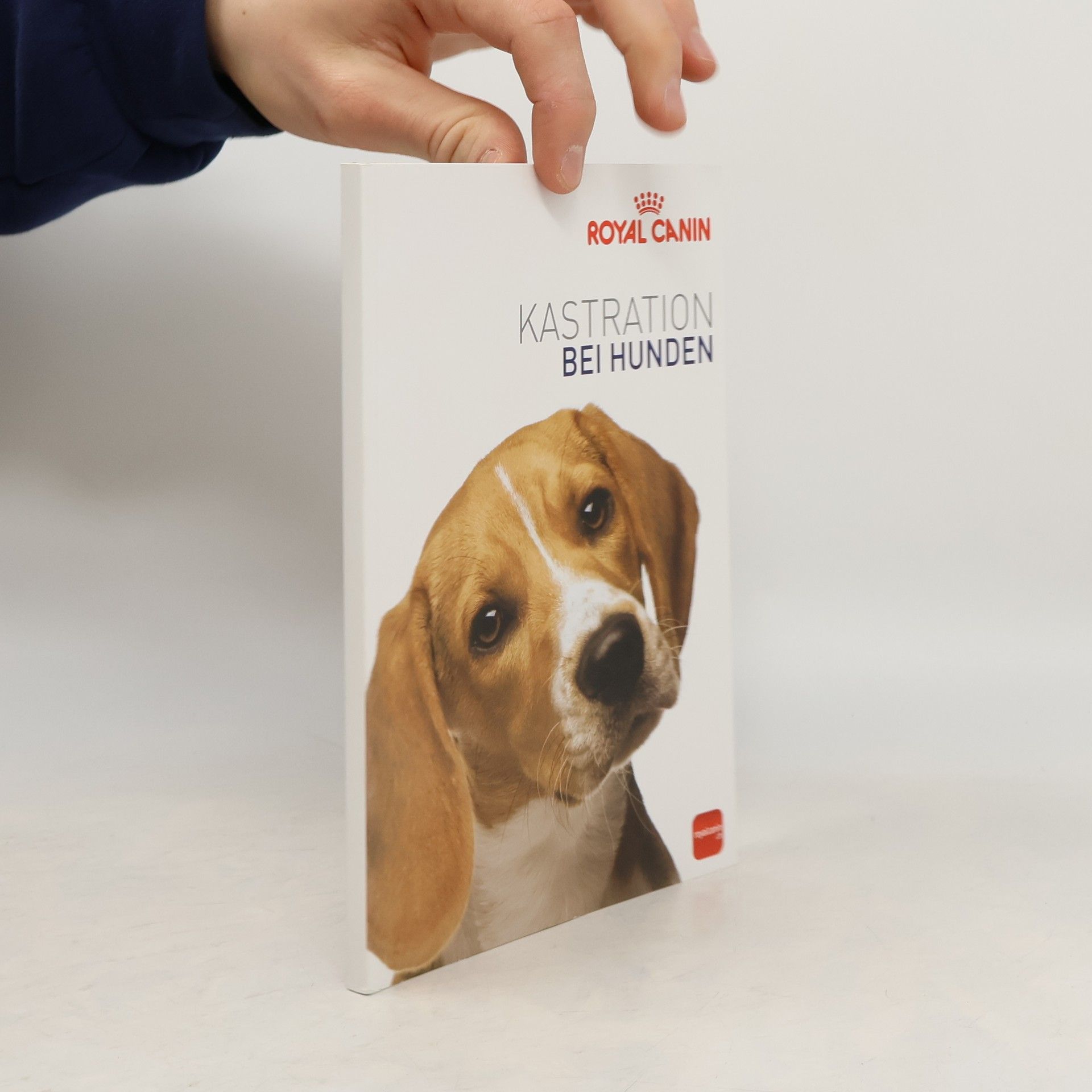 Katrin Busch-Kschiewan Kastration bei Hunden