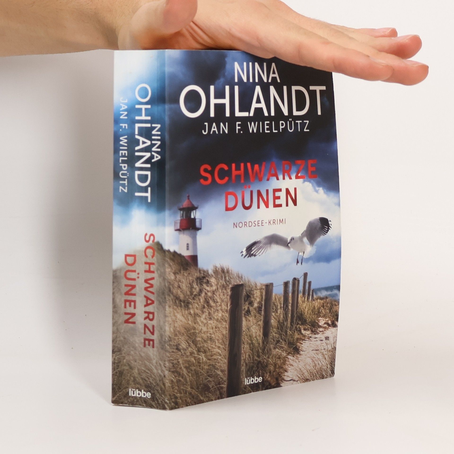 Nina Ohlandt Schwarze Dünen