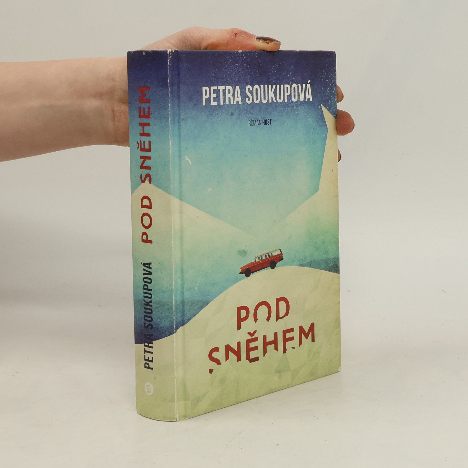 Petra Soukupová Pod sněhem