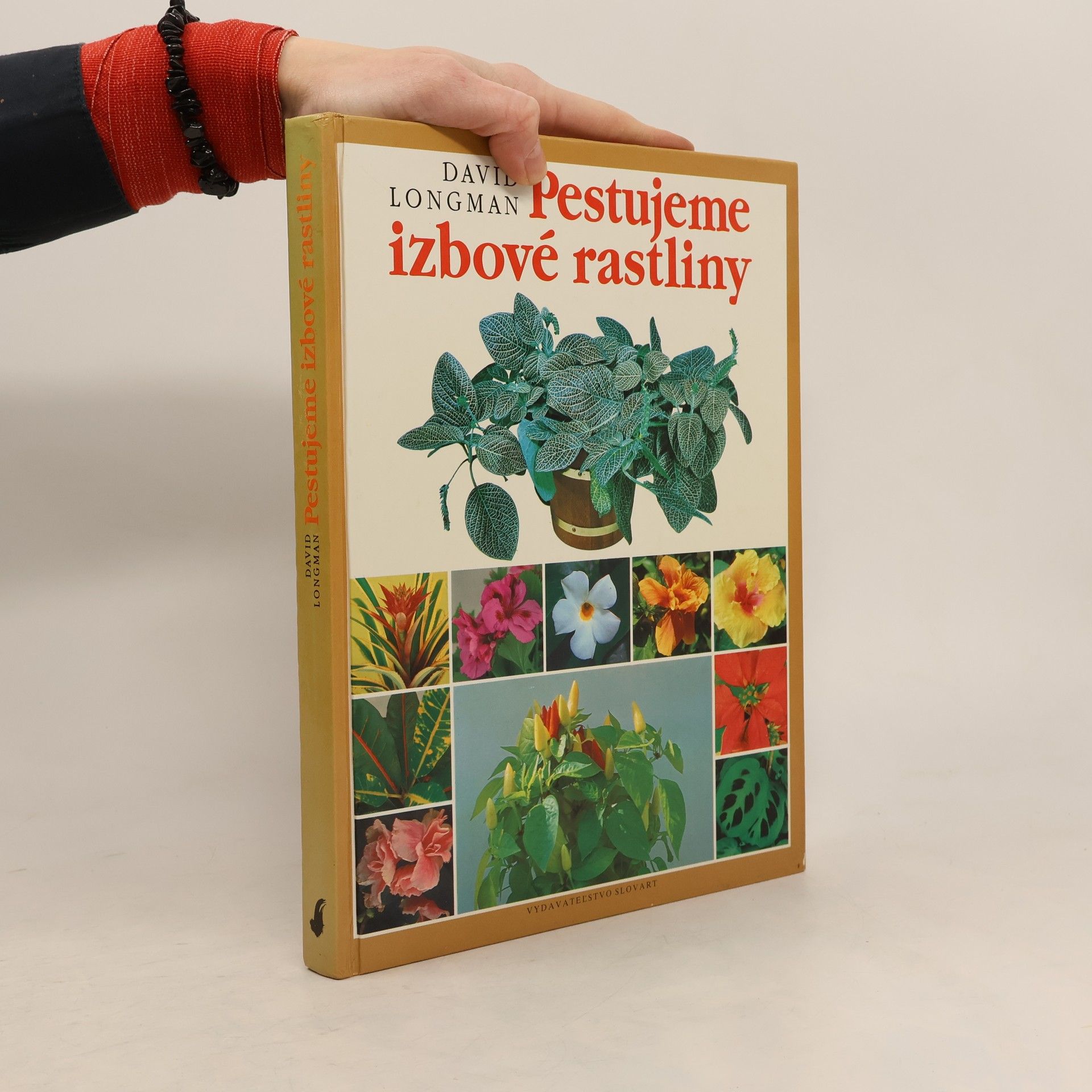 David Longman Pestujeme izbové rastliny