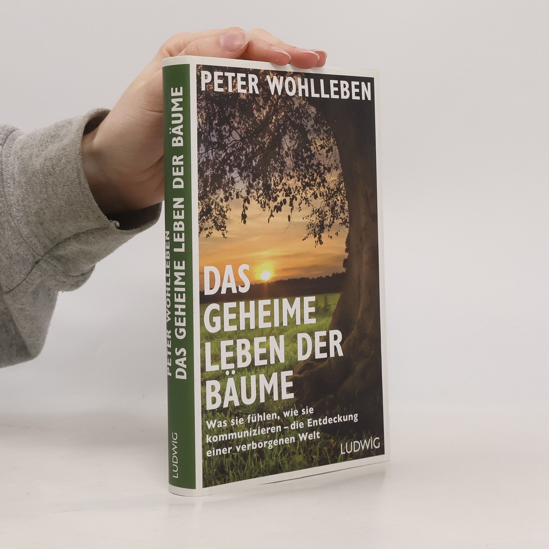 Peter Wohlleben Das geheime Leben der Bäume