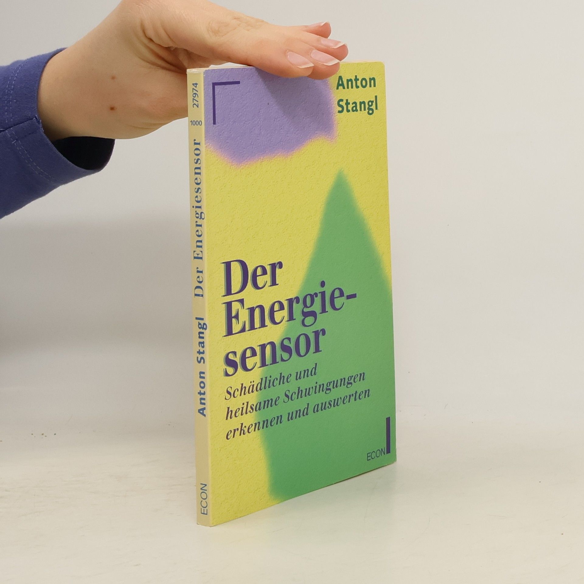 Anton Stangl Der Energiesensor