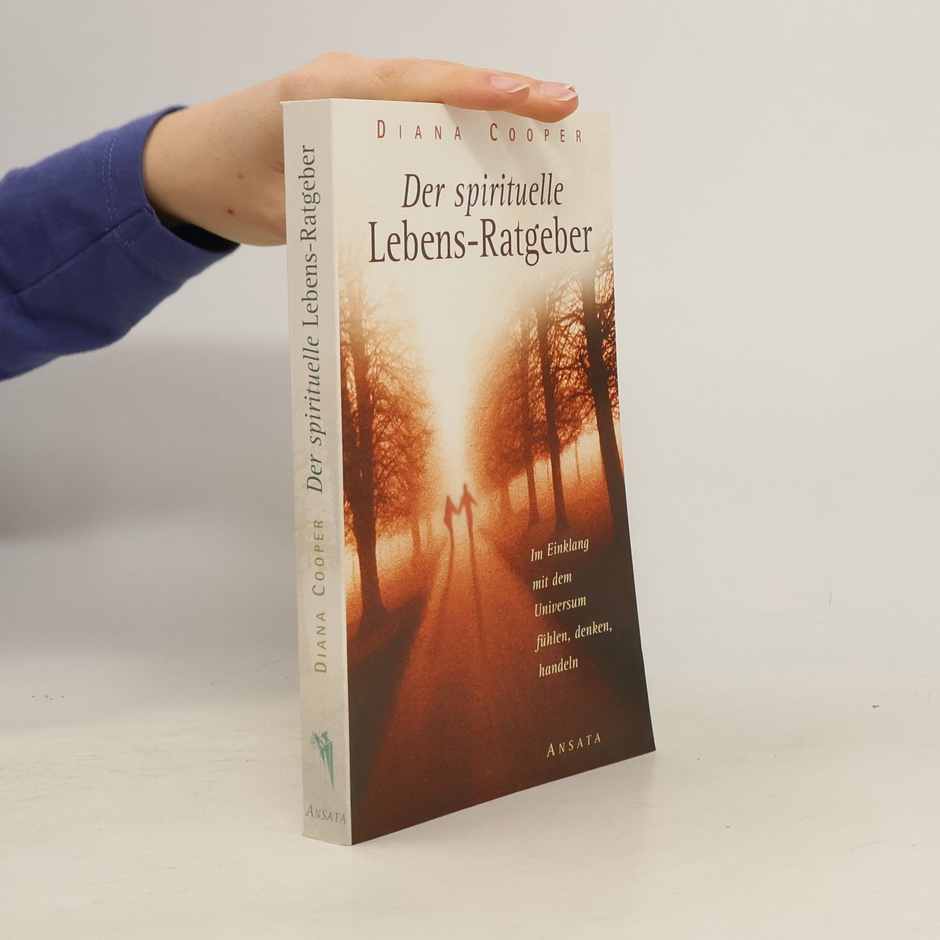 Der spirituelle Lebens-Ratgeber