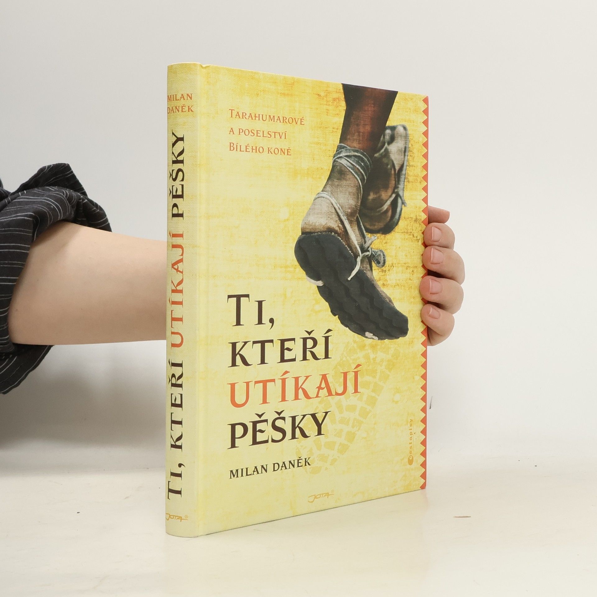 Milan Daněk Ti, kteří utíkají pěšky