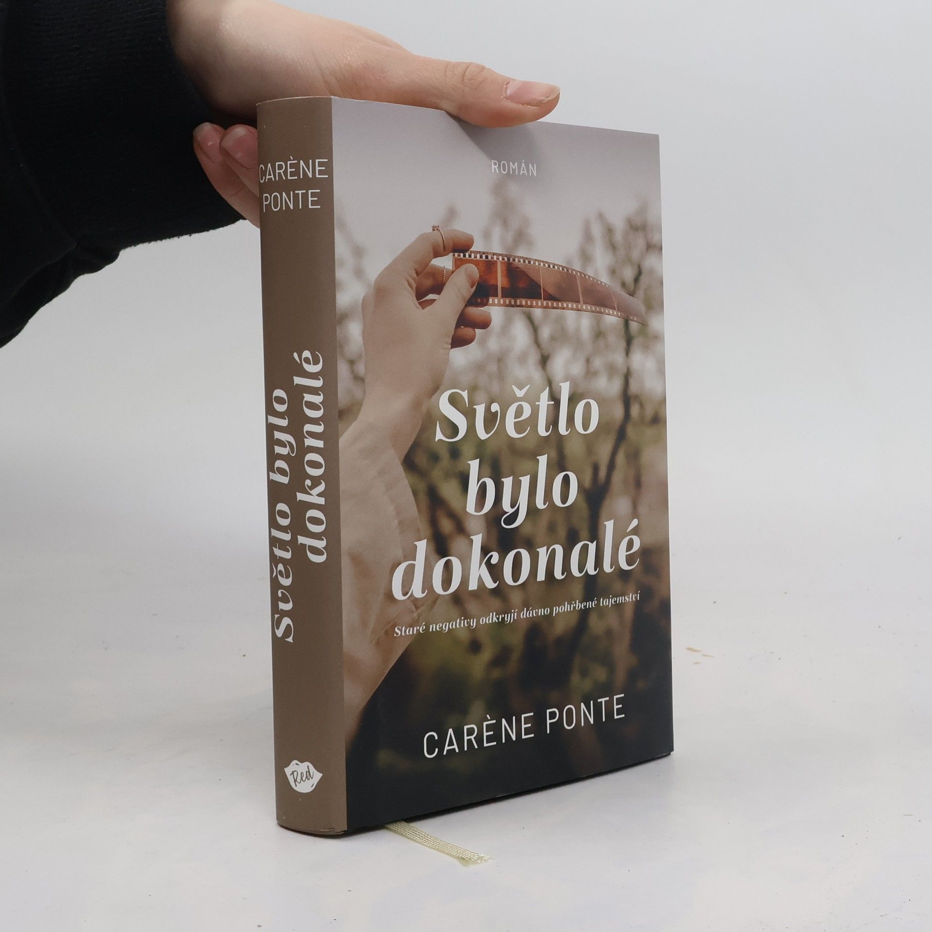 Carène Ponte Světlo bylo dokonalé