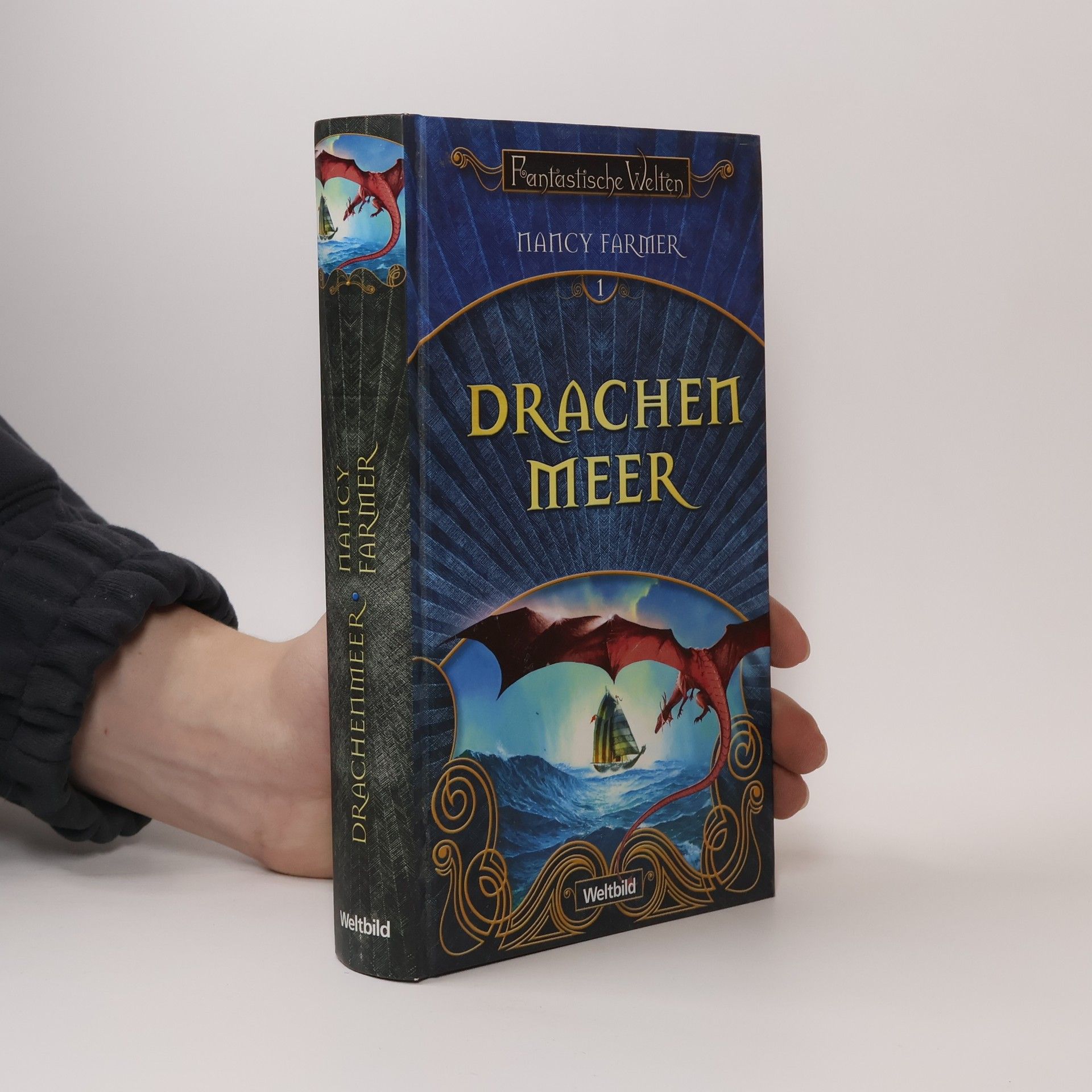 Drachen Meer 1