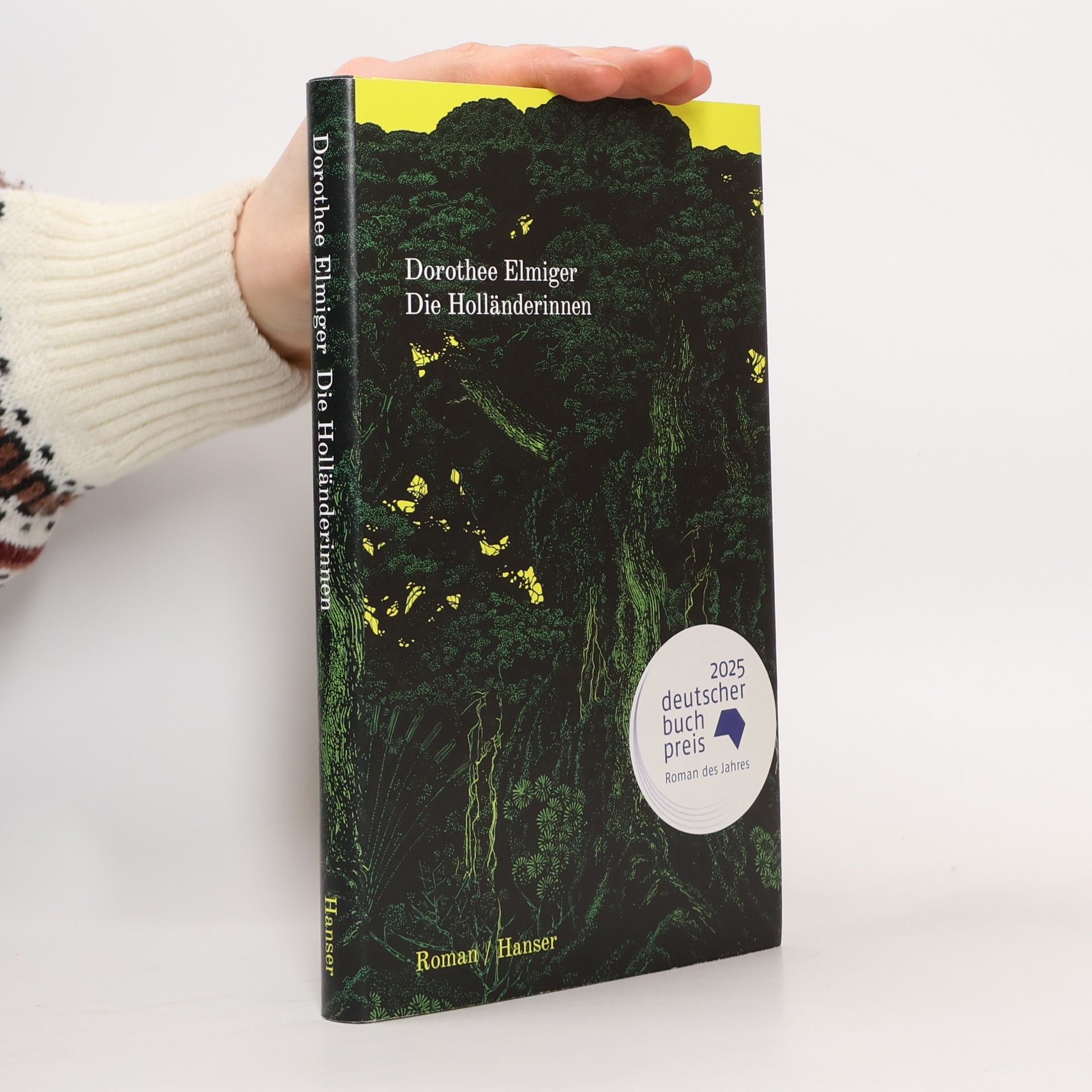 Dorothee Elmiger Die Holländerinnen