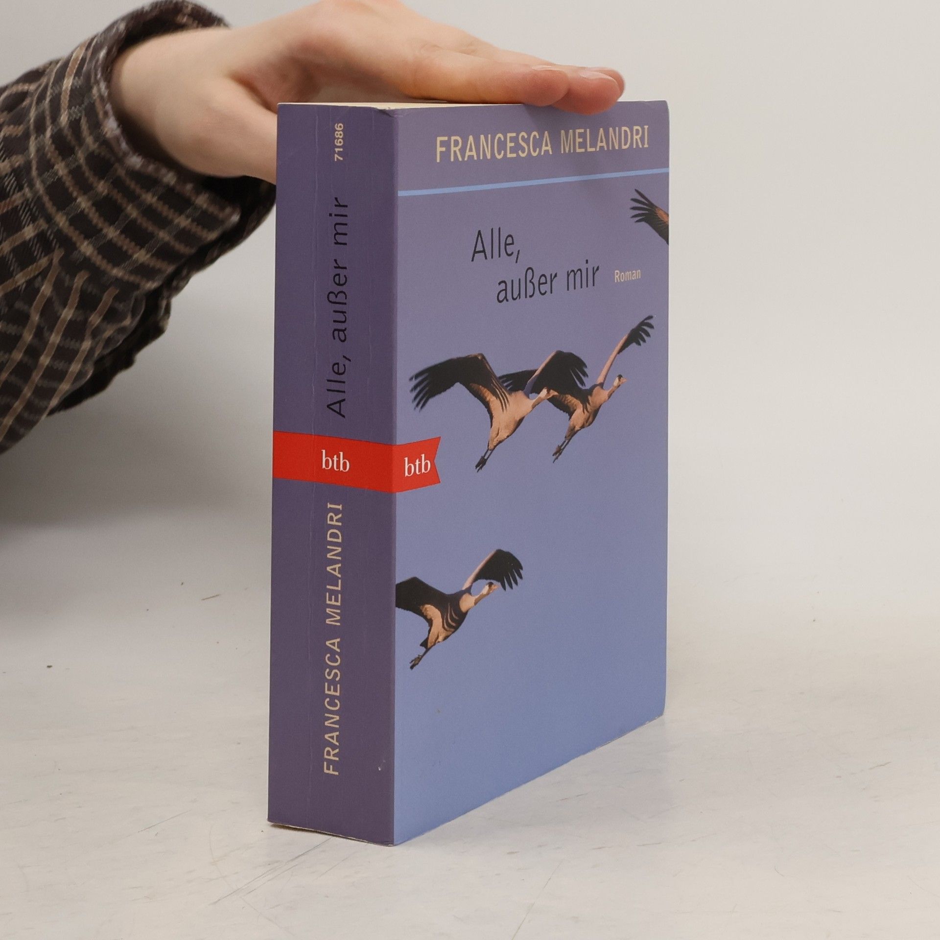 Francesca Melandri Alle, außer mir