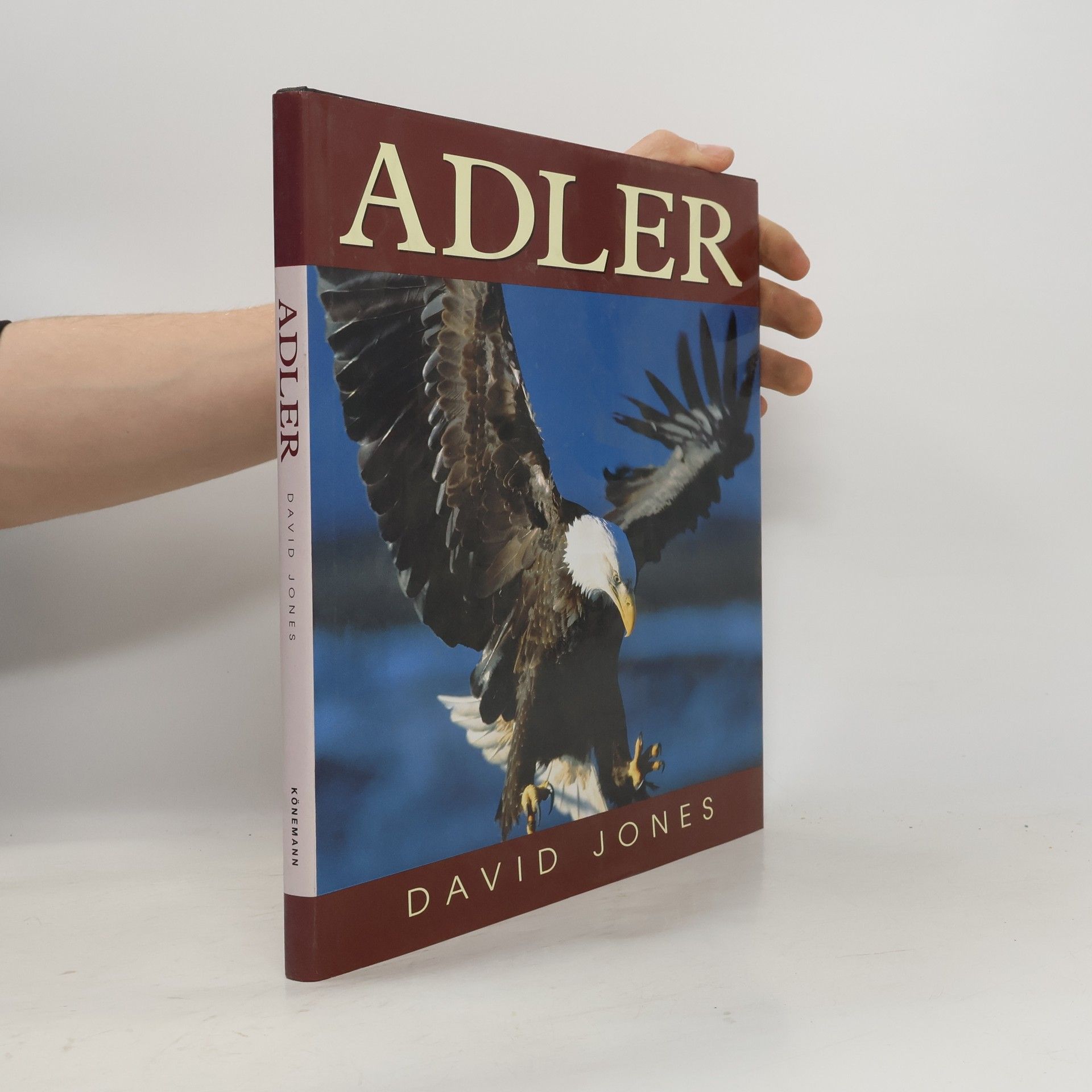 David Jones Adler