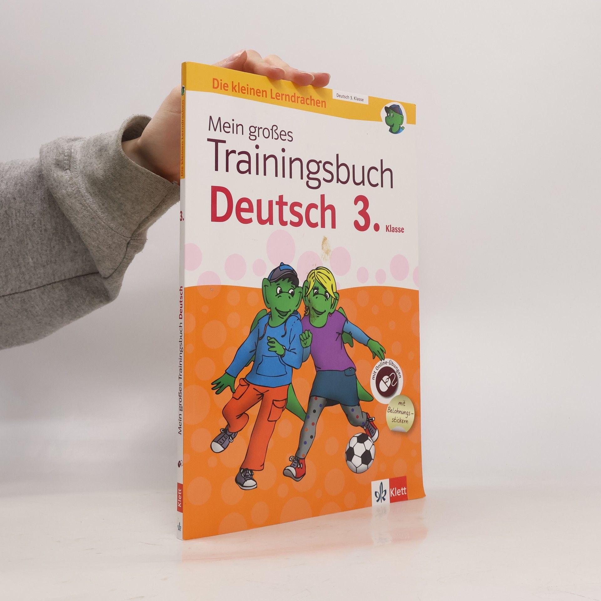 Ursula Lassert Mein großes Trainingsbuch