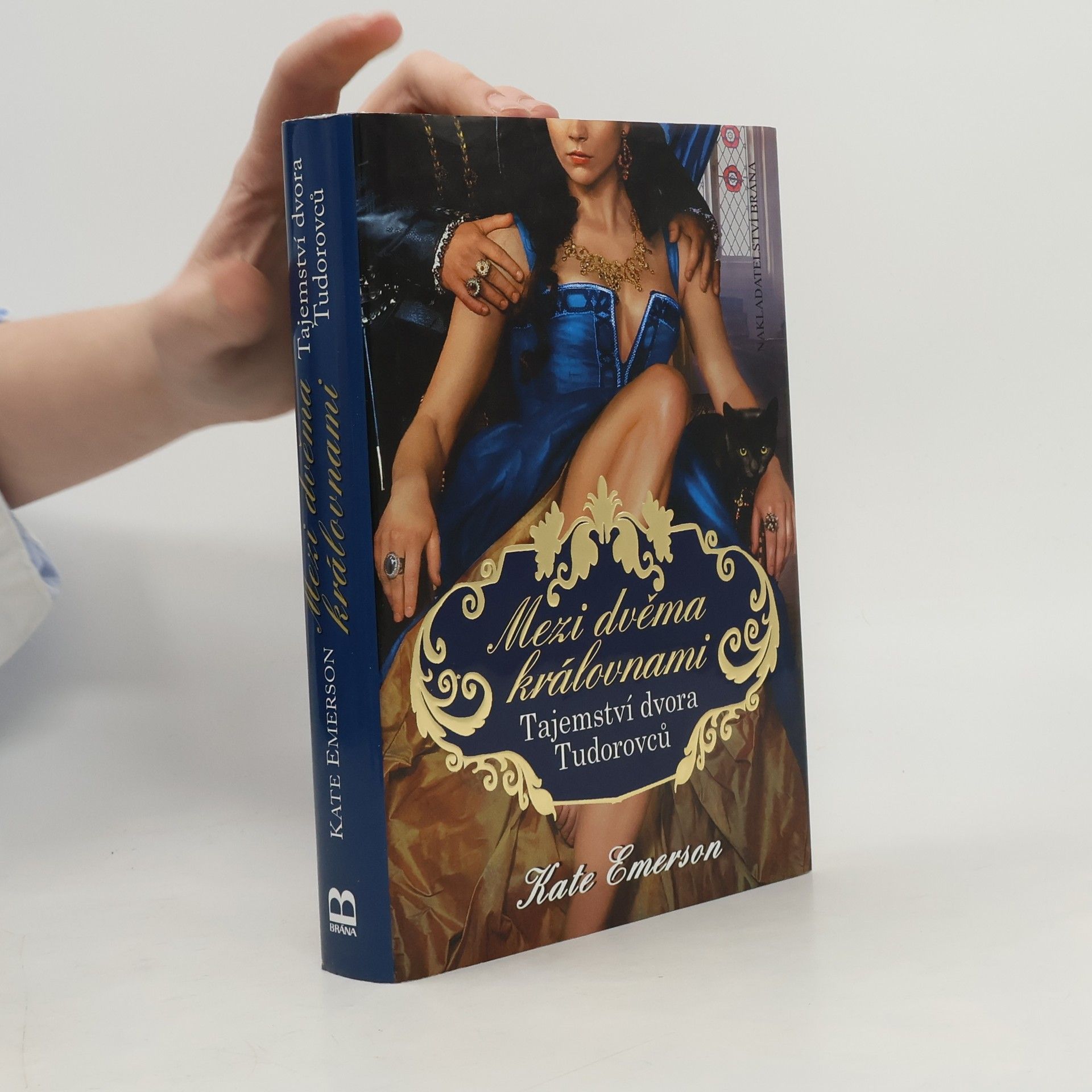 Kate Emerson Mezi dvěma královnami : tajemství dvora Tudorovců