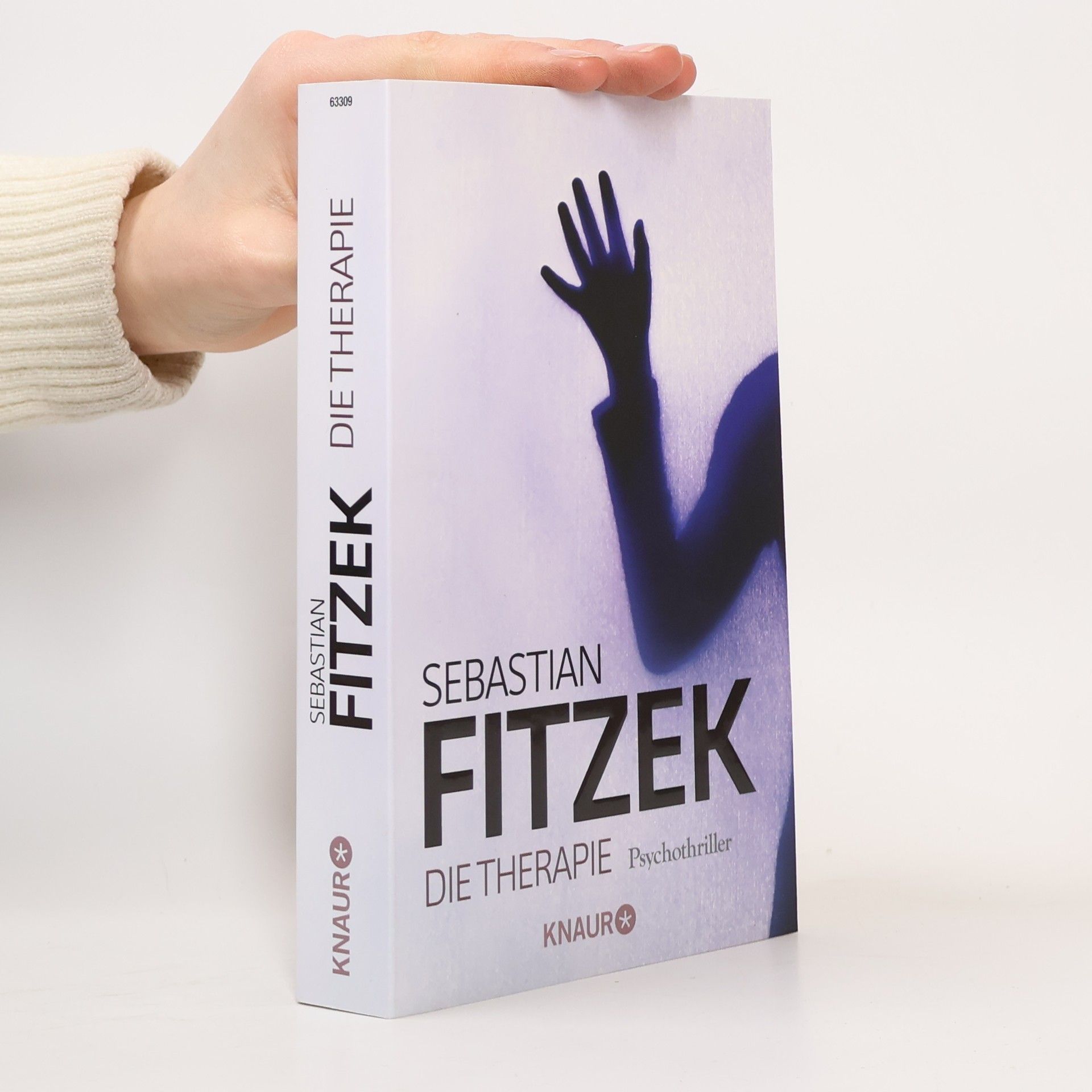 Sebastian Fitzek Die Therapie