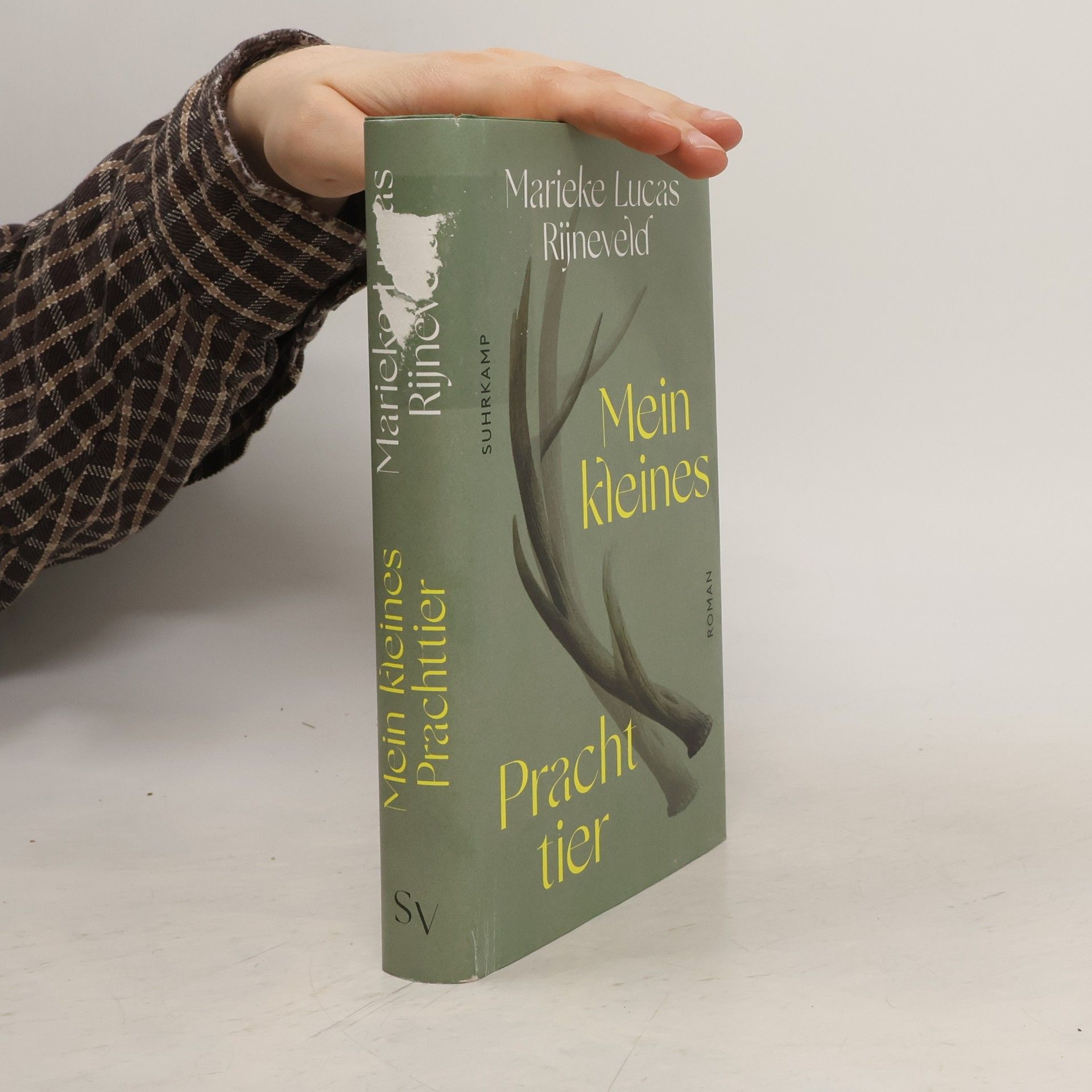 Lucas Rijneveld Mein kleines Prachttier
