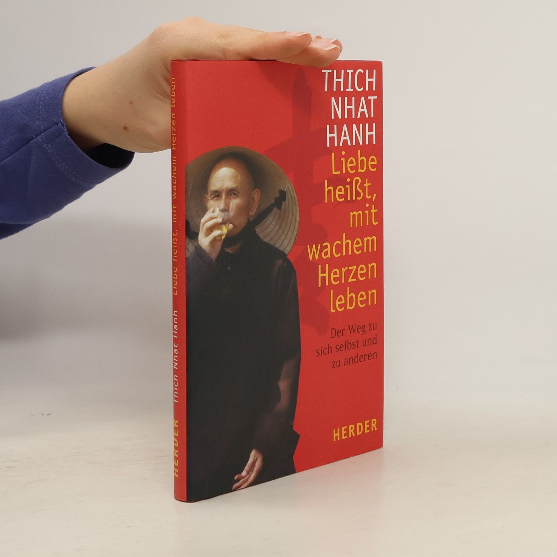 Hạnh Nhat Liebe heißt, mit wachem Herzen leben