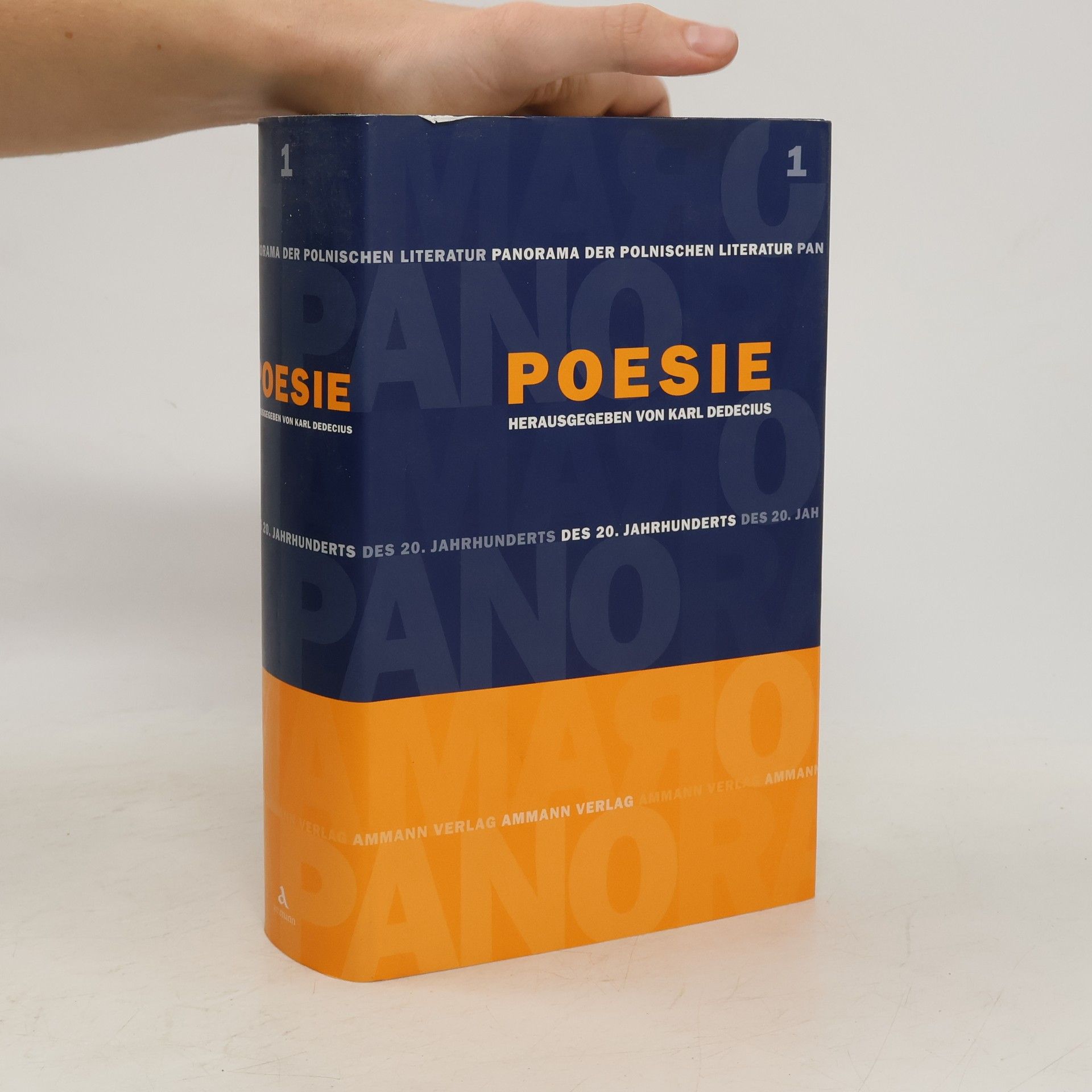 kolektiv Panorama der polnischen Literatur des 20. Jahrhunderts. Poesie