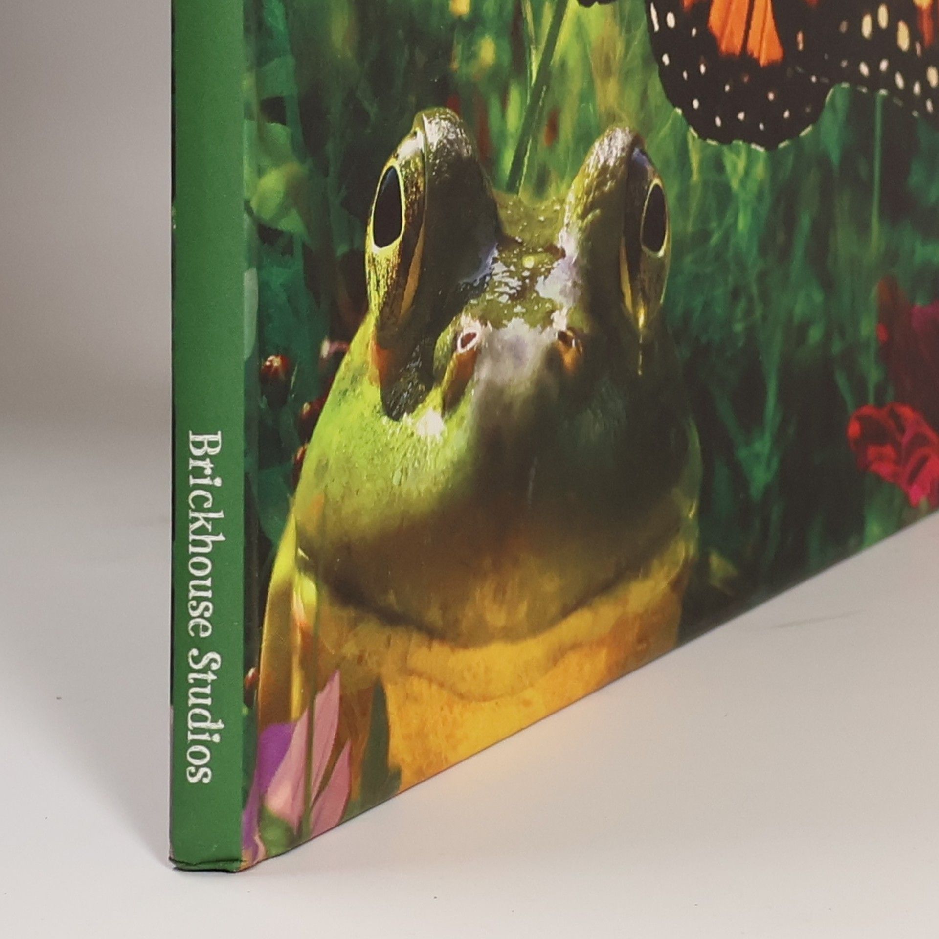 John Churchman The Happy Garden Best Friends