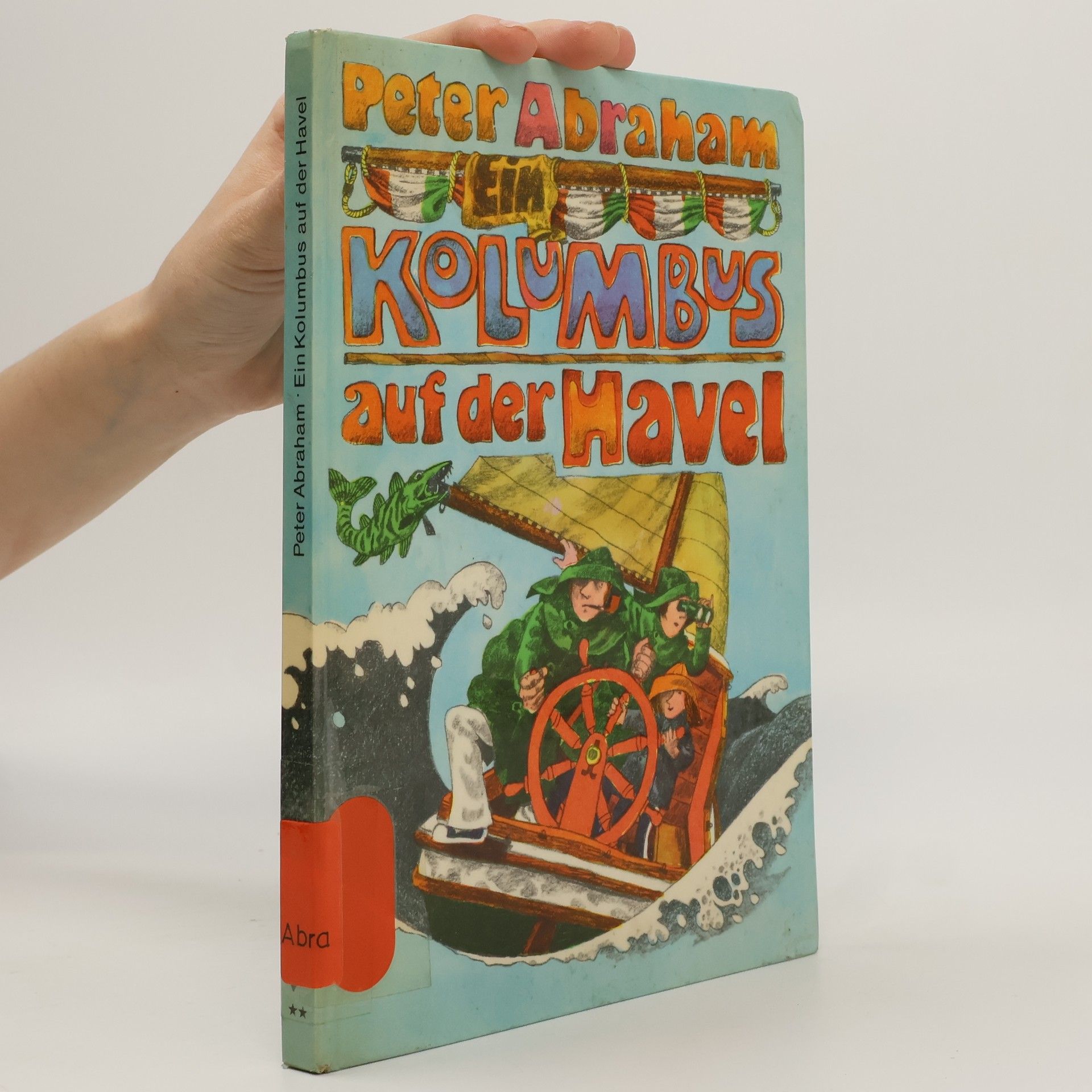 Susan Maupin Schmid 100 funkelnde Zauberkleider - die Schmetterlingsprinzessin