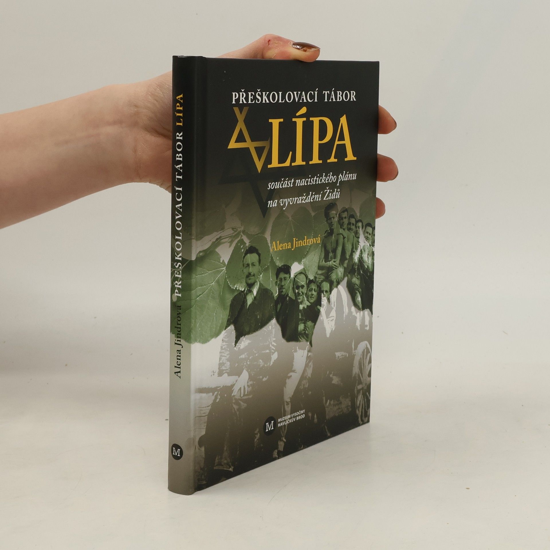 Alena Jindrová Přeškolovací tábor Lípa