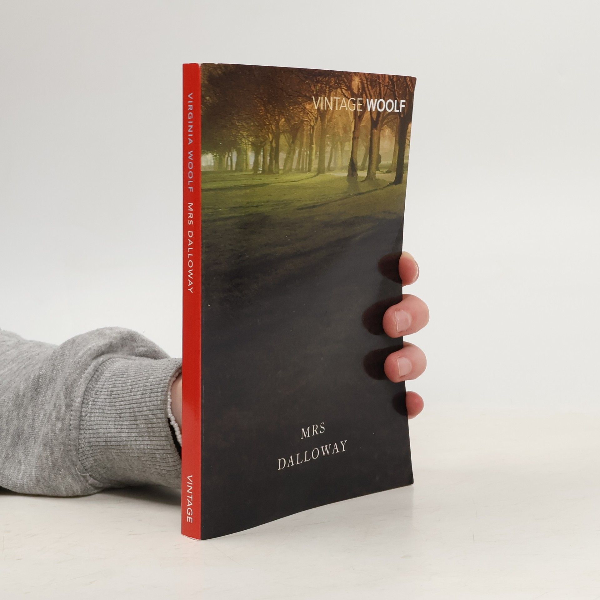 Virginia Woolf Mrs Dalloway