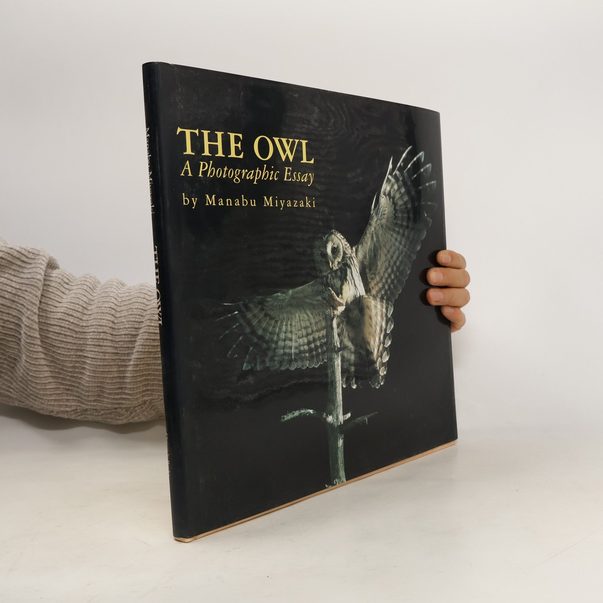 Manabu Miyazaki The owl: a photographic essay