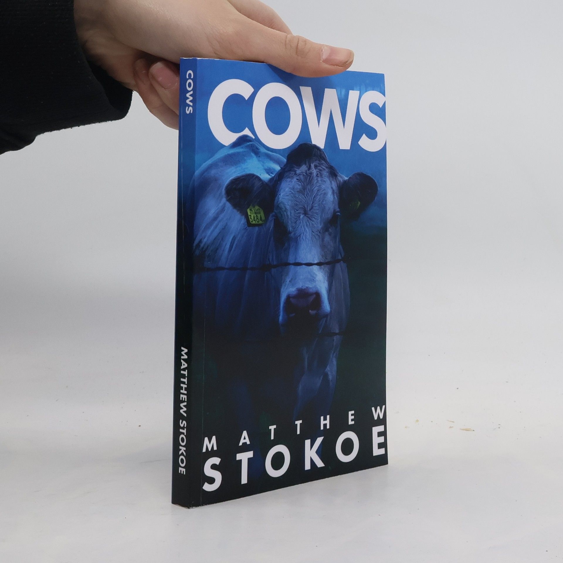 Mr Matthew Stokoe Cows