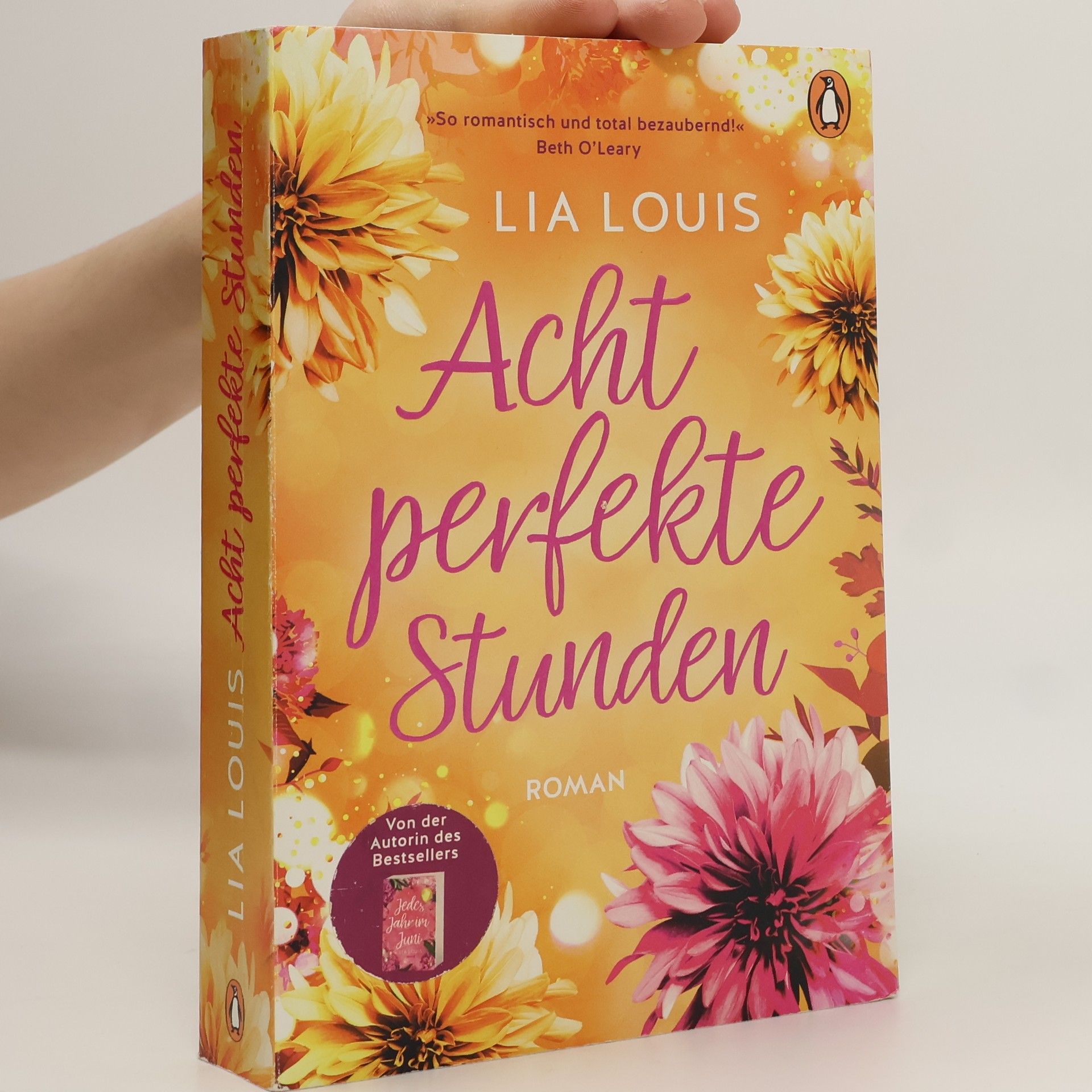 Lia Louis Acht perfekte Stunden