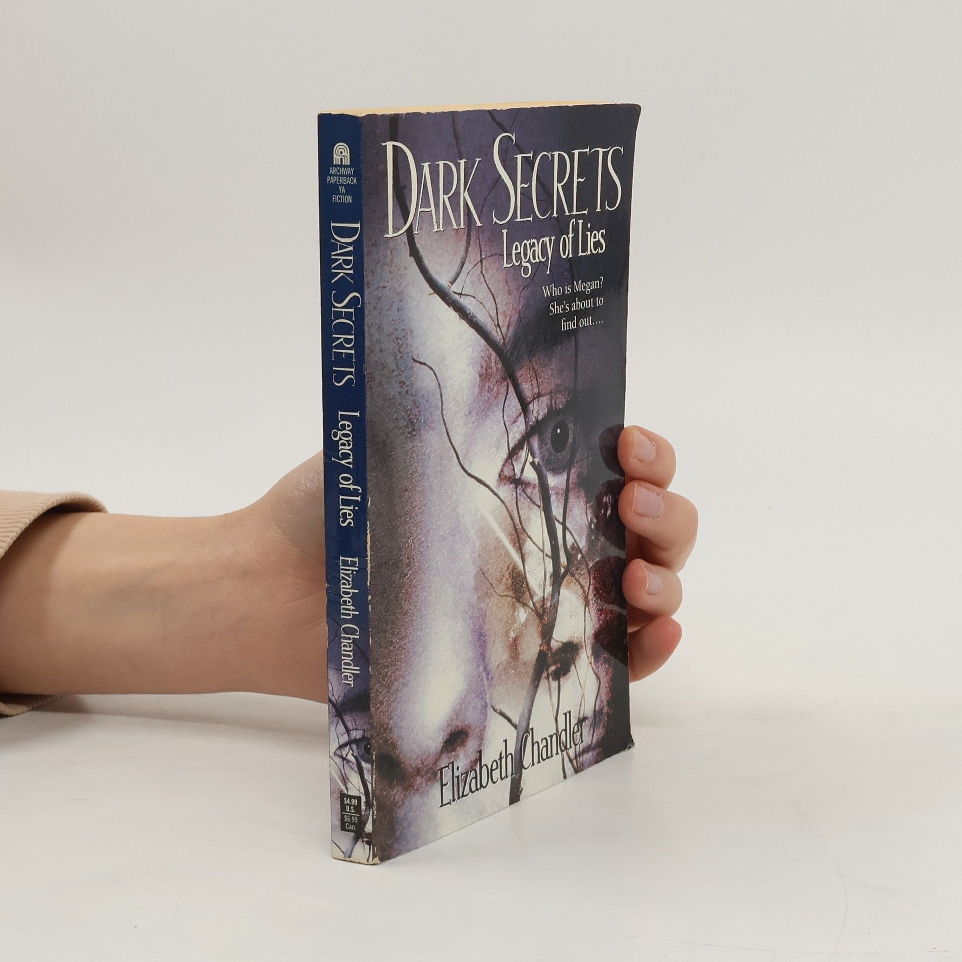 Elisabeth Chandler Dark Secrets: Legacy of Lies