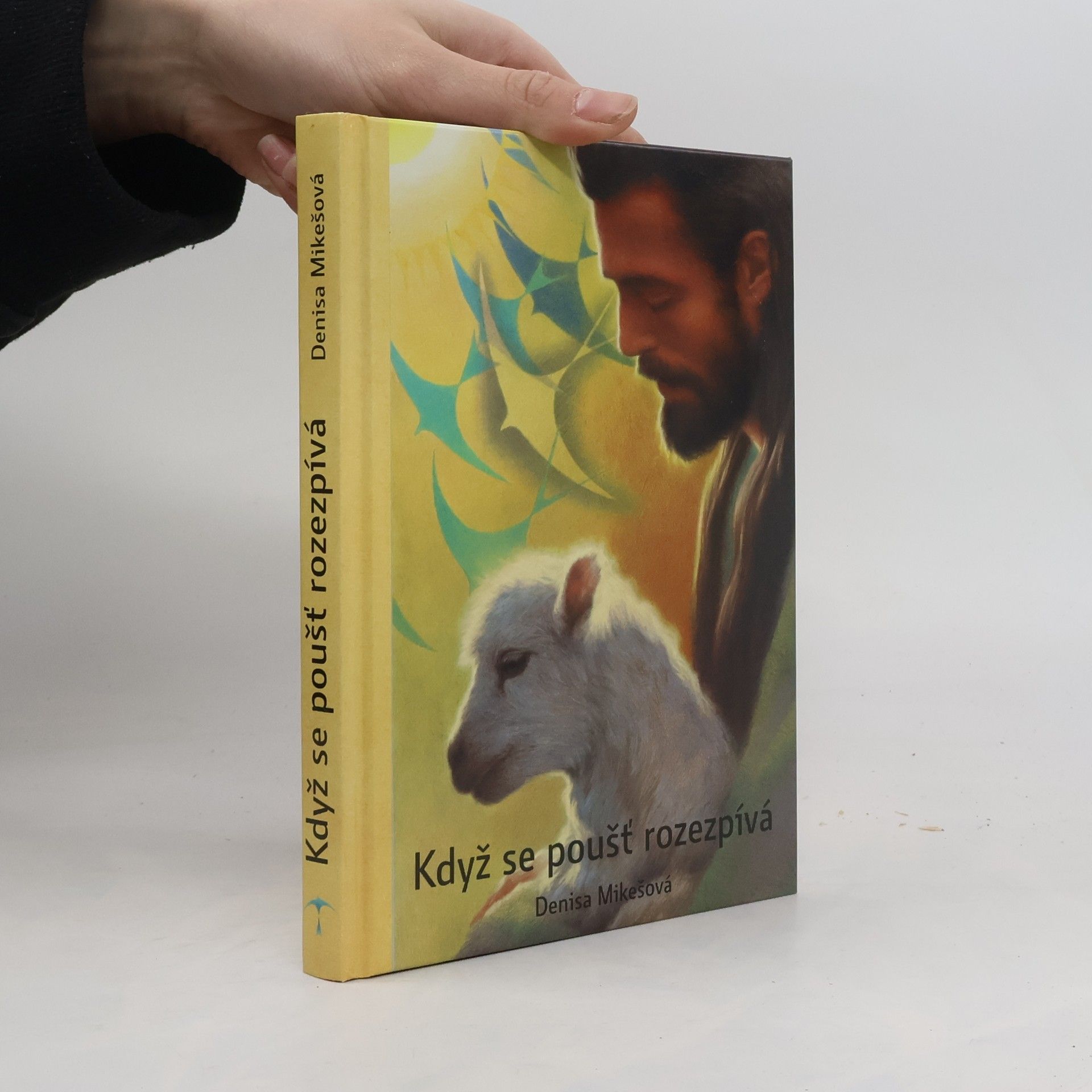 Denisa Mikešová Když se poušť rozezpívá