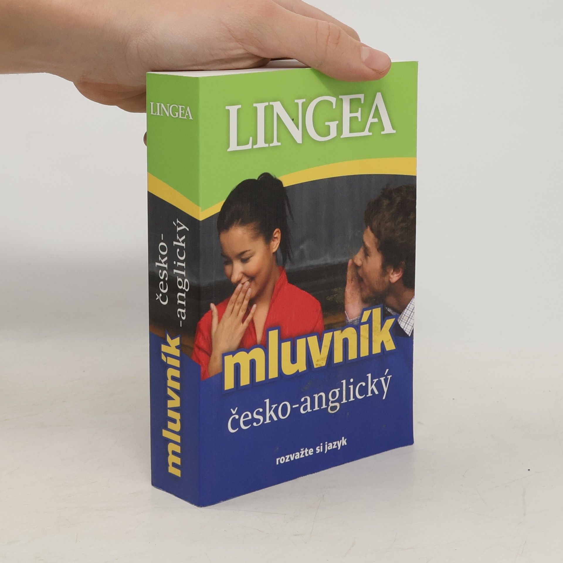Autorenkollektiv Mluvník česko-anglický
