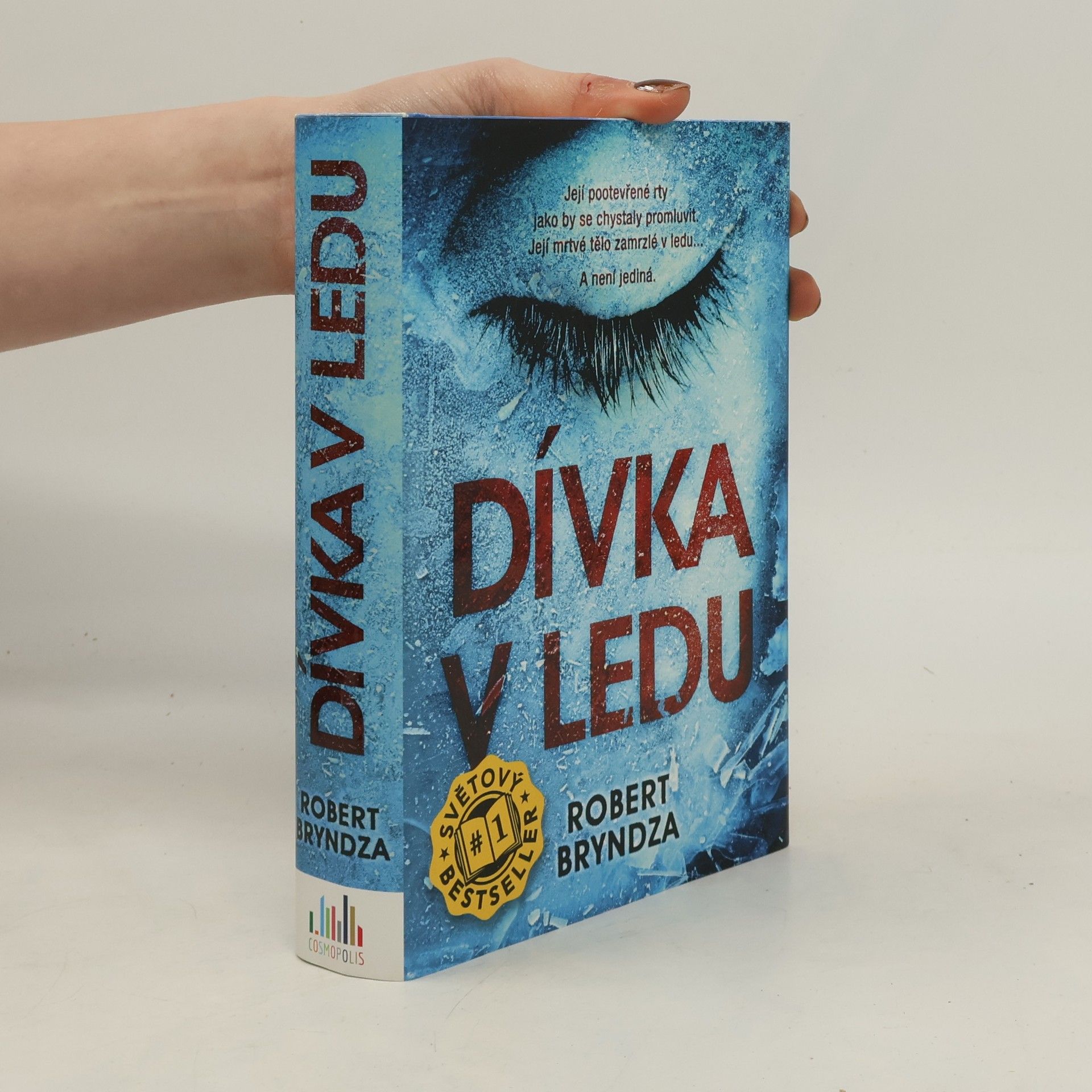 Robert Bryndza Dívka v ledu