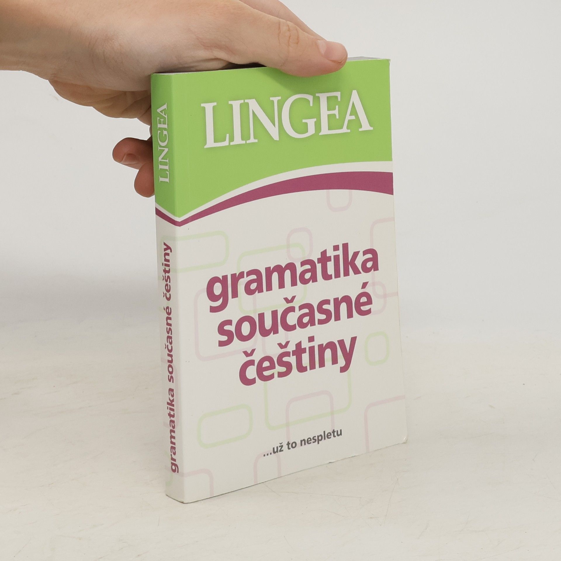 kolektiv Gramatika současné češtiny