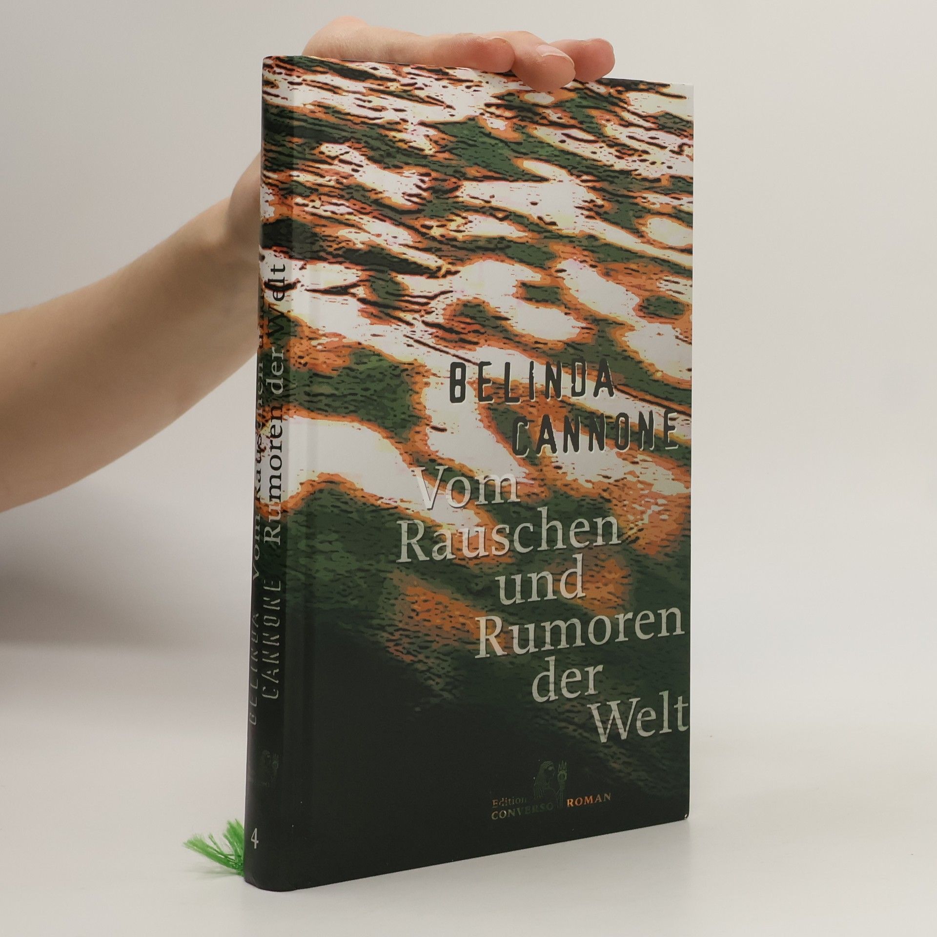 Belinda Cannone Vom Rauschen und Rumoren der Welt