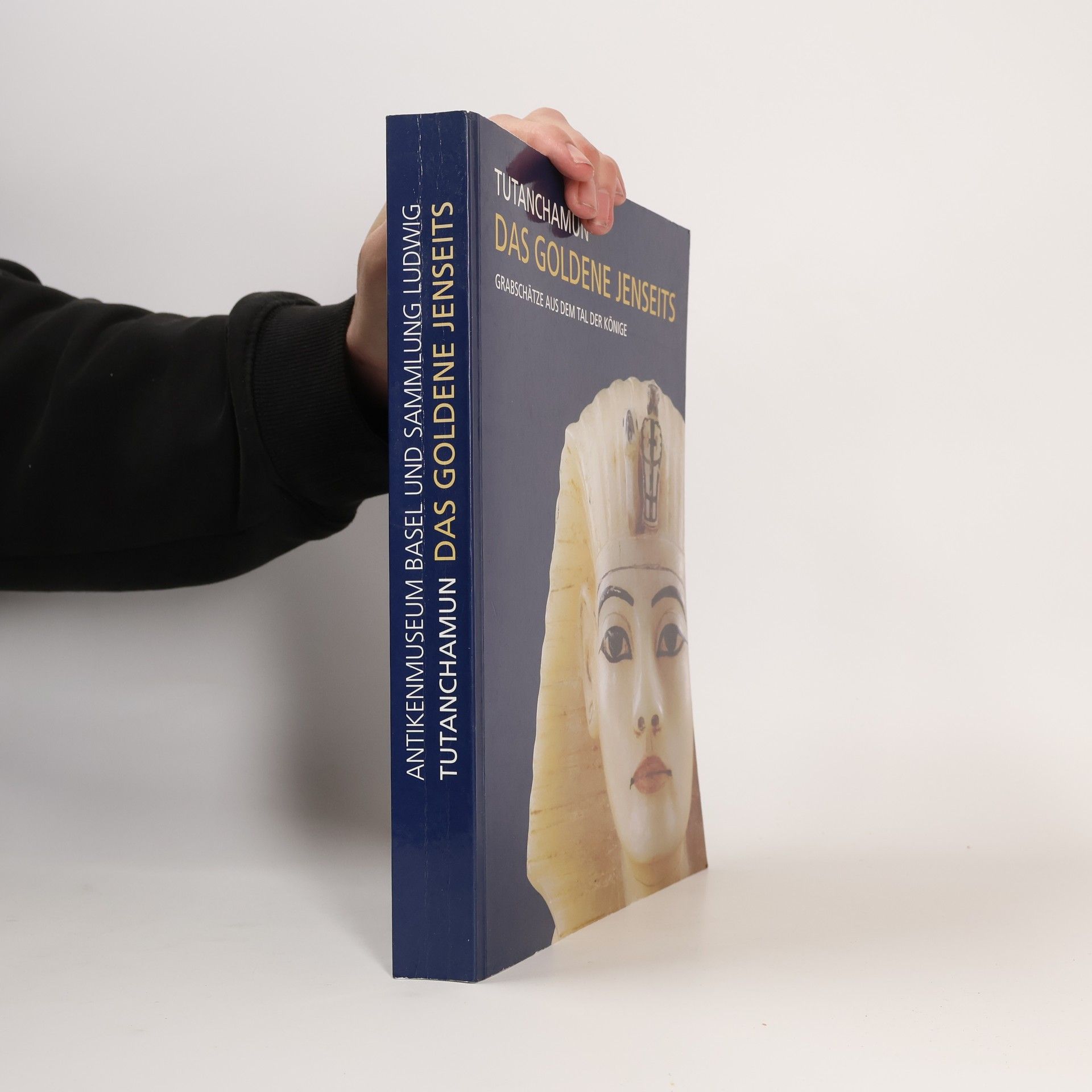 Andre B. Wiese Tutanchamun - das goldene Jenseits