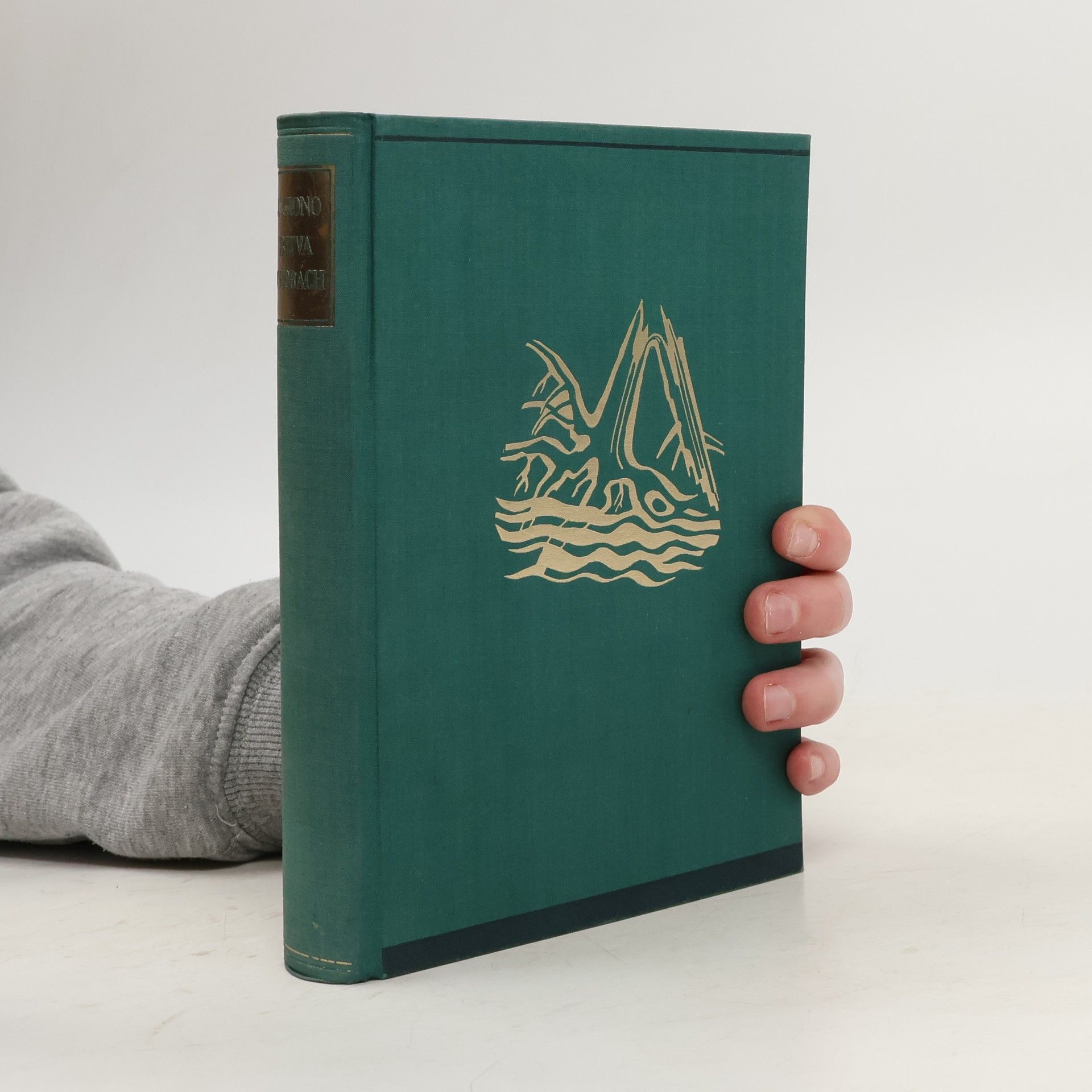 Jean Giono Bitva v horách