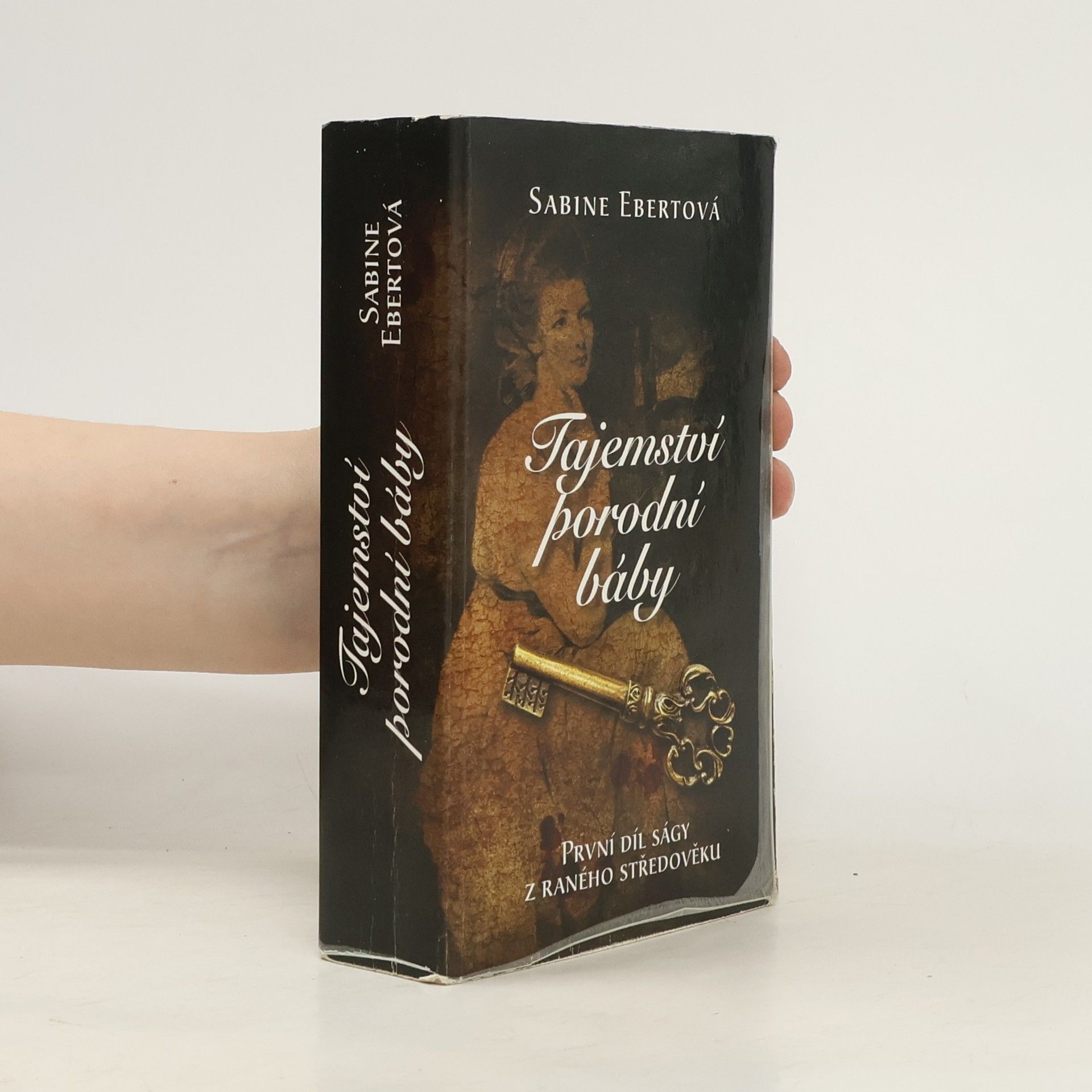 Sabine Ebert Tajemství porodní báby