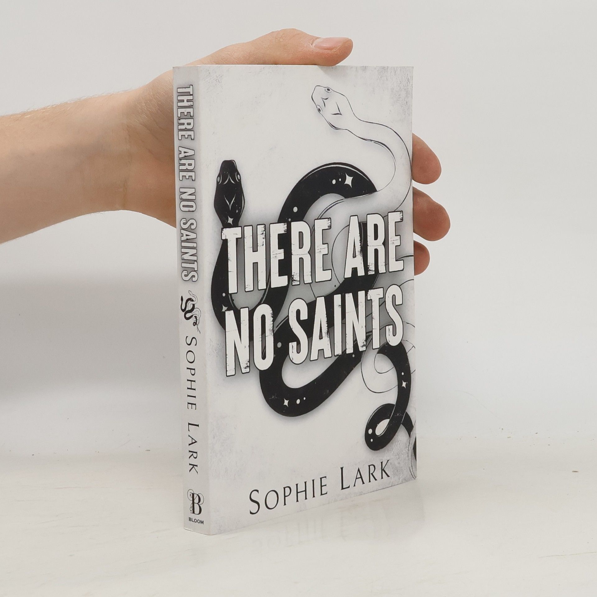Sophie Lark There Are No Saints