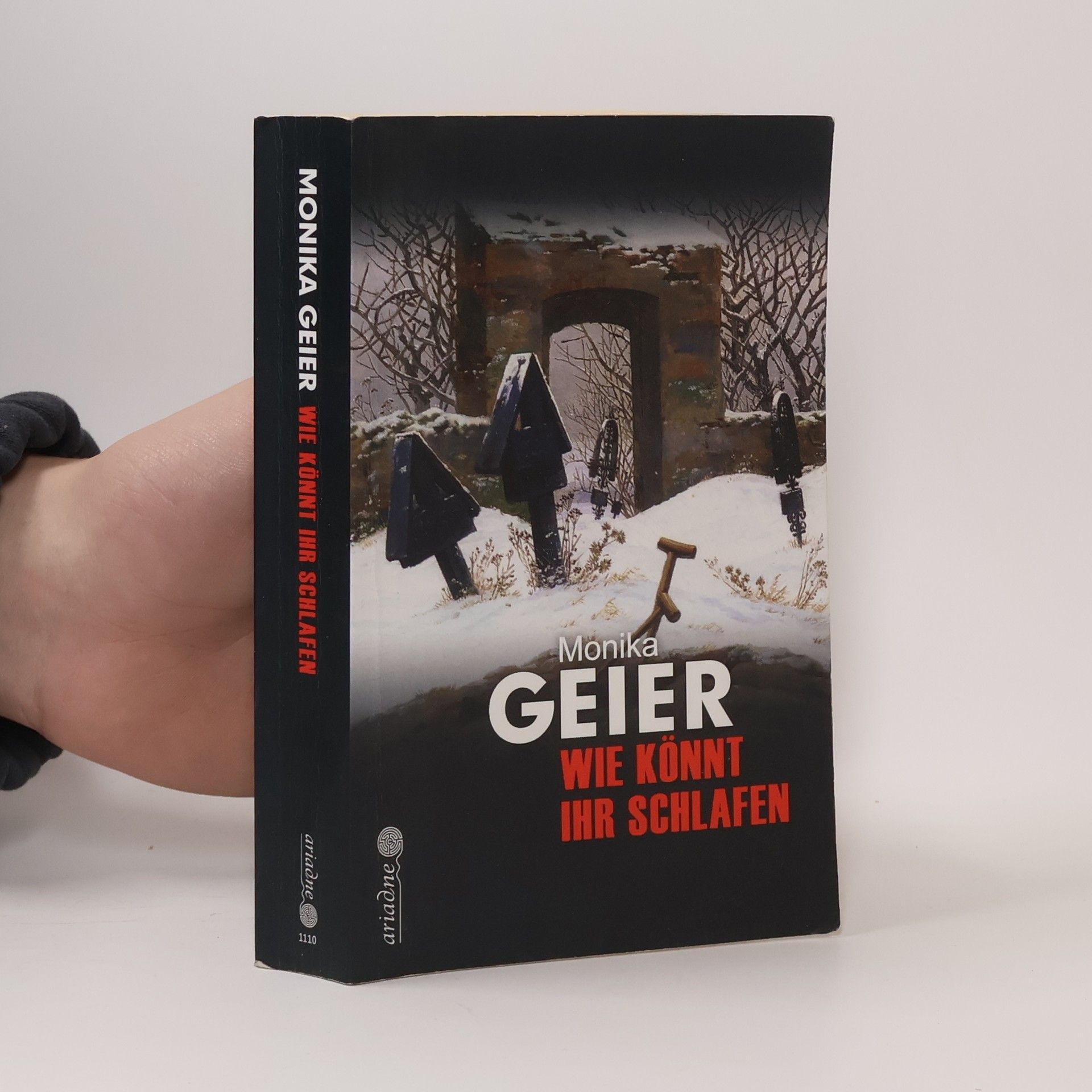 Monika Geier Wie könnt ihr schlafen