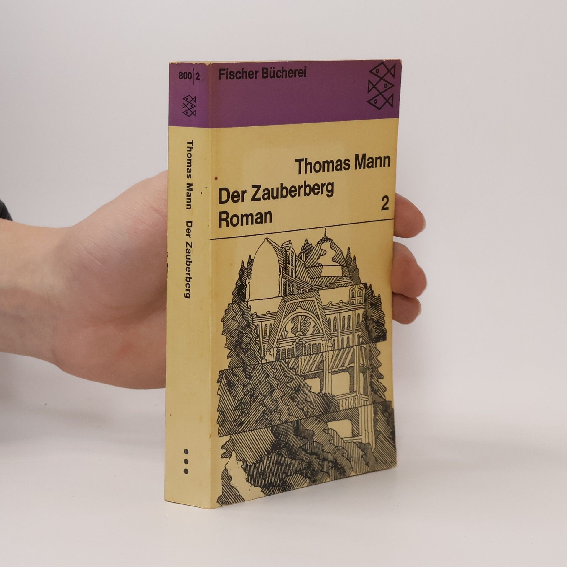 Thomas Mann Der Zauberberg 2