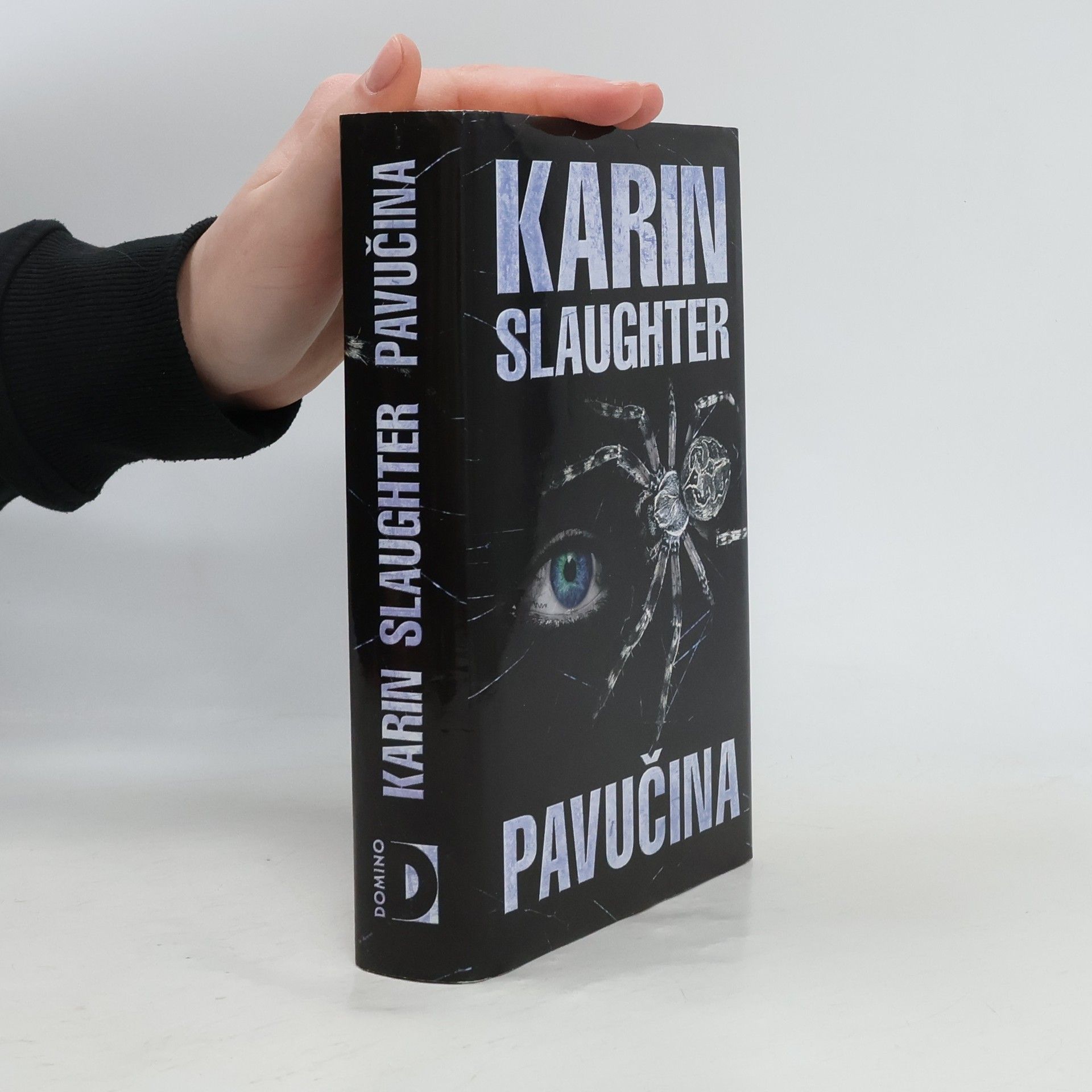 Karin Slaughter Pavučina