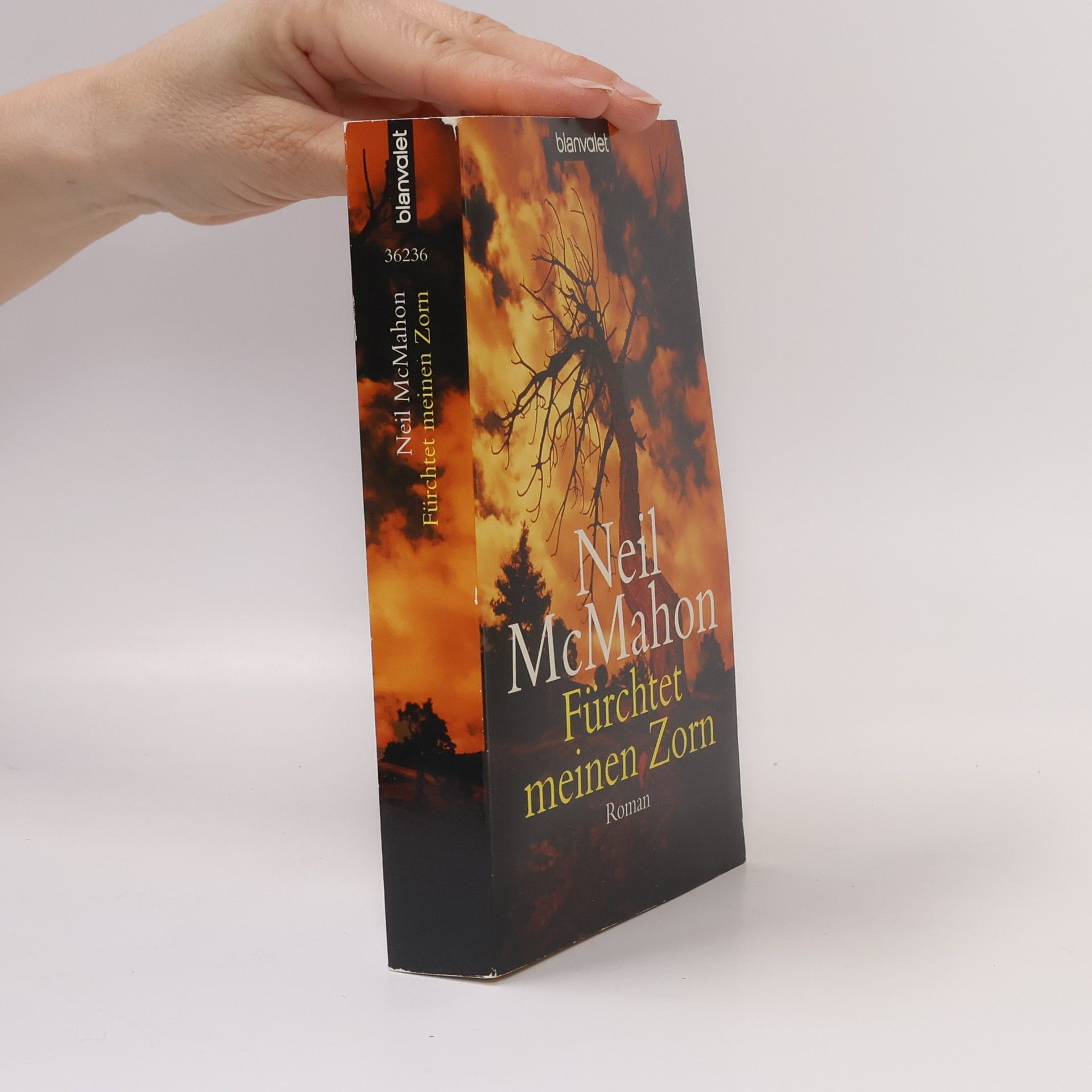 Neil McMahon Fürchtet meinen Zorn