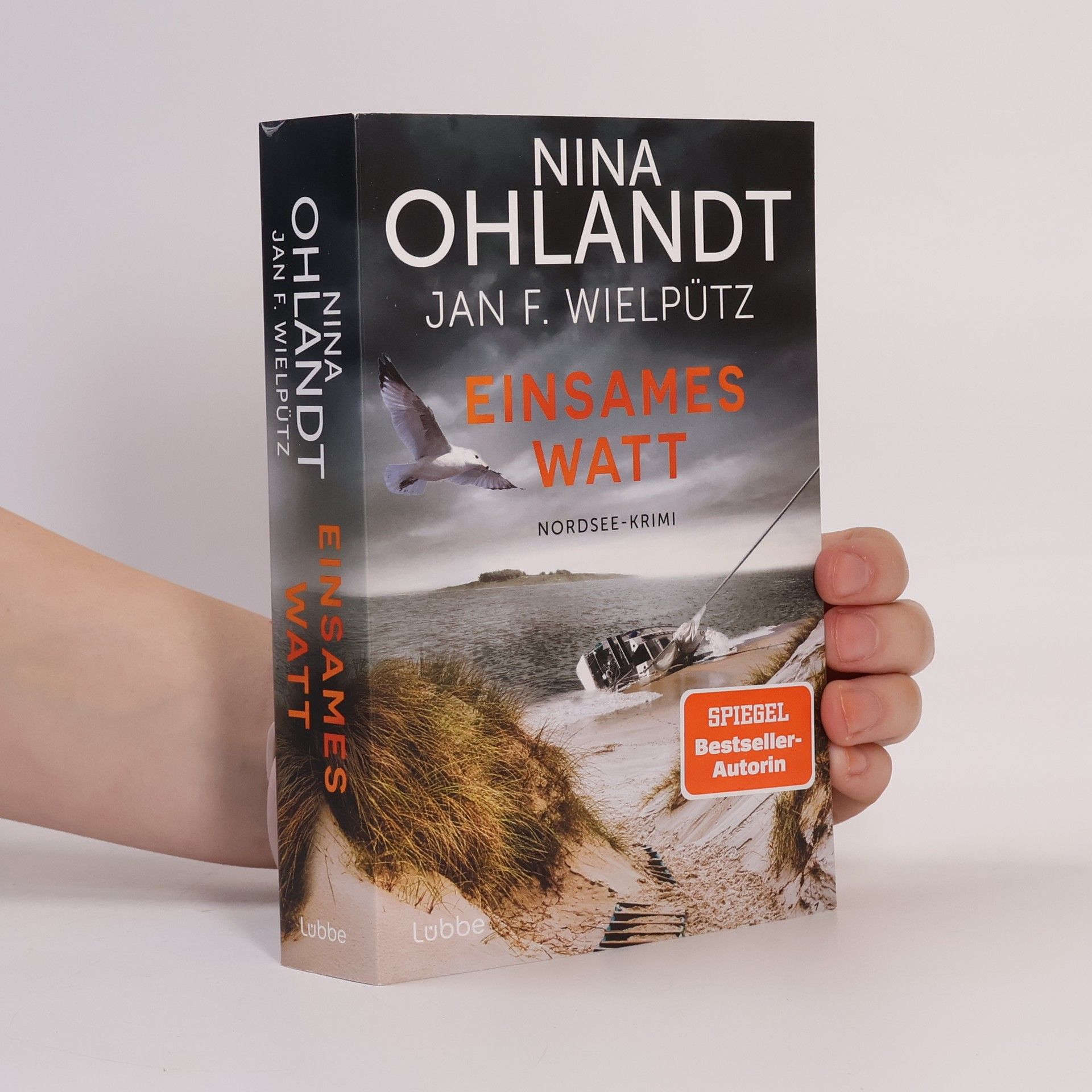 Hauptkommissar John Benthien ermittelt auf Amrum und in den Uthlanden - 12: Einsames Watt