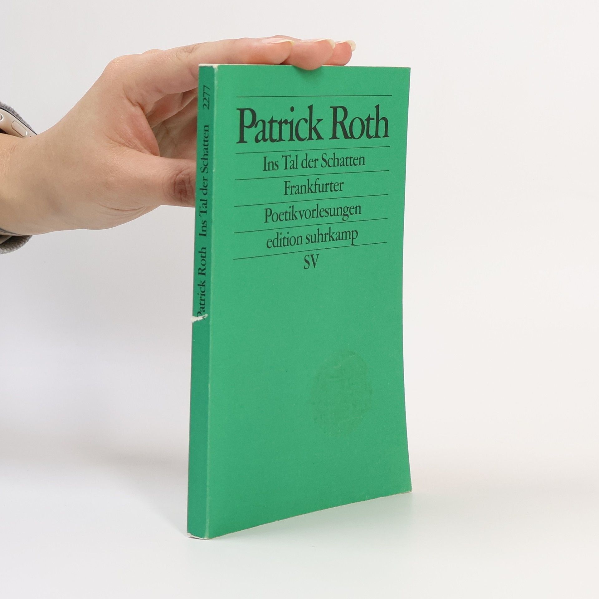 Patrick Roth Edition Suhrkamp - 2277: Ins Tal der Schatten