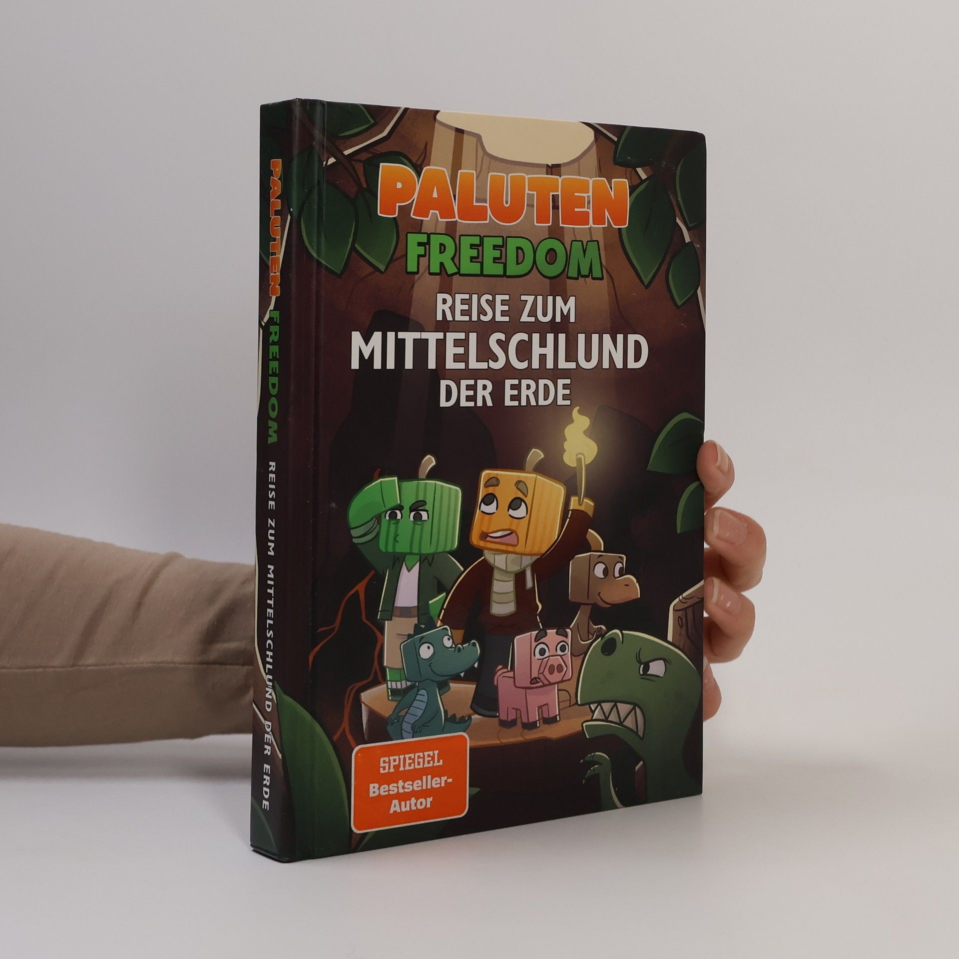 Klaas Kern Reise zum Mittelschlund der Erde