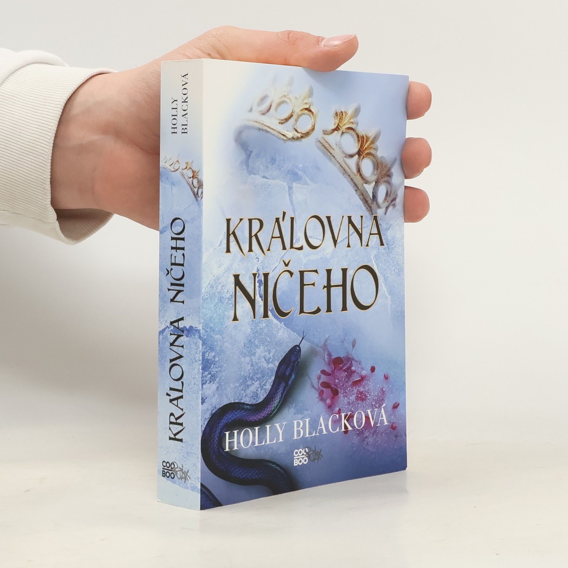 Holly Black Královna ničeho