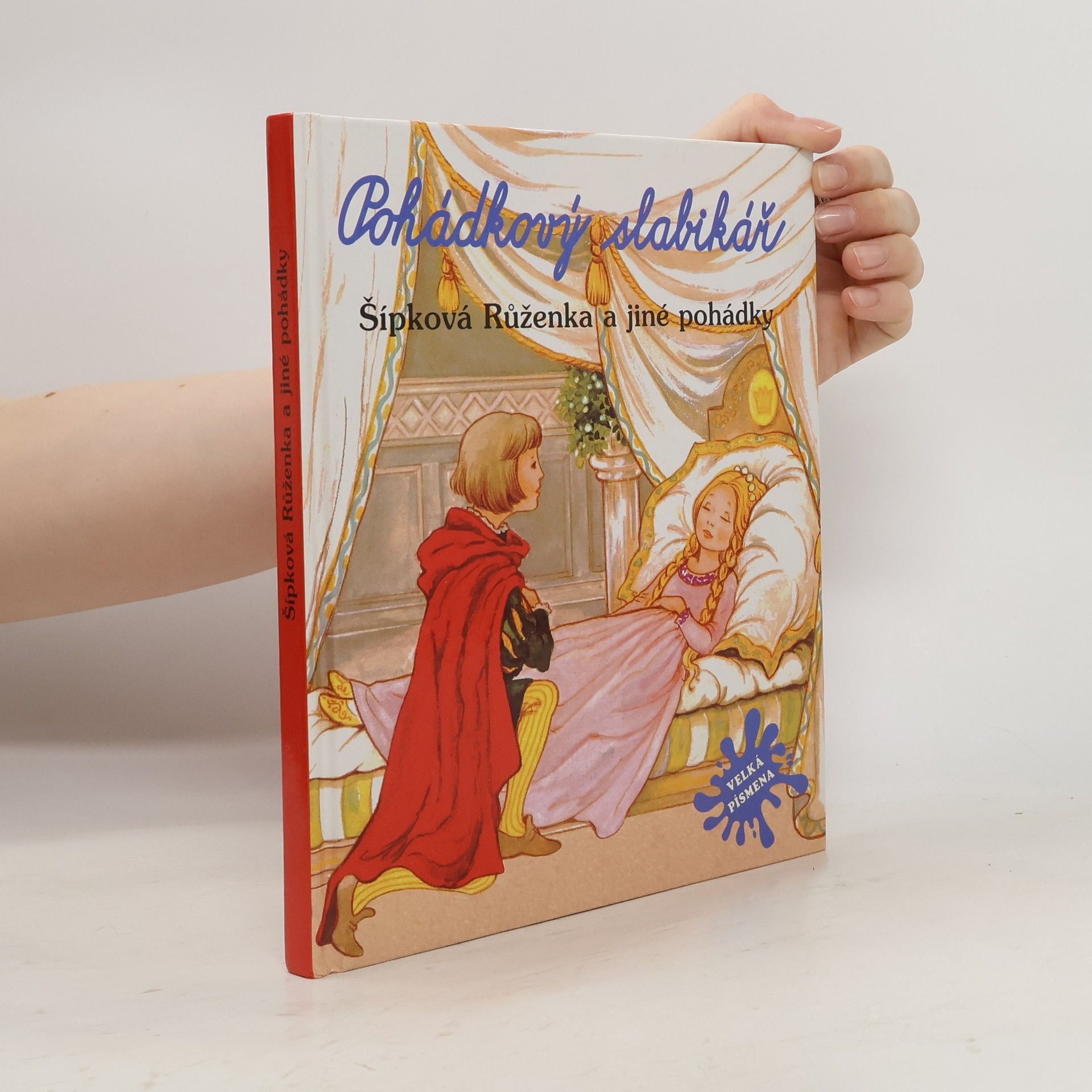 Auteurscollectief Pohádkový slabikář. Šípková Růženka a jiné pohádky